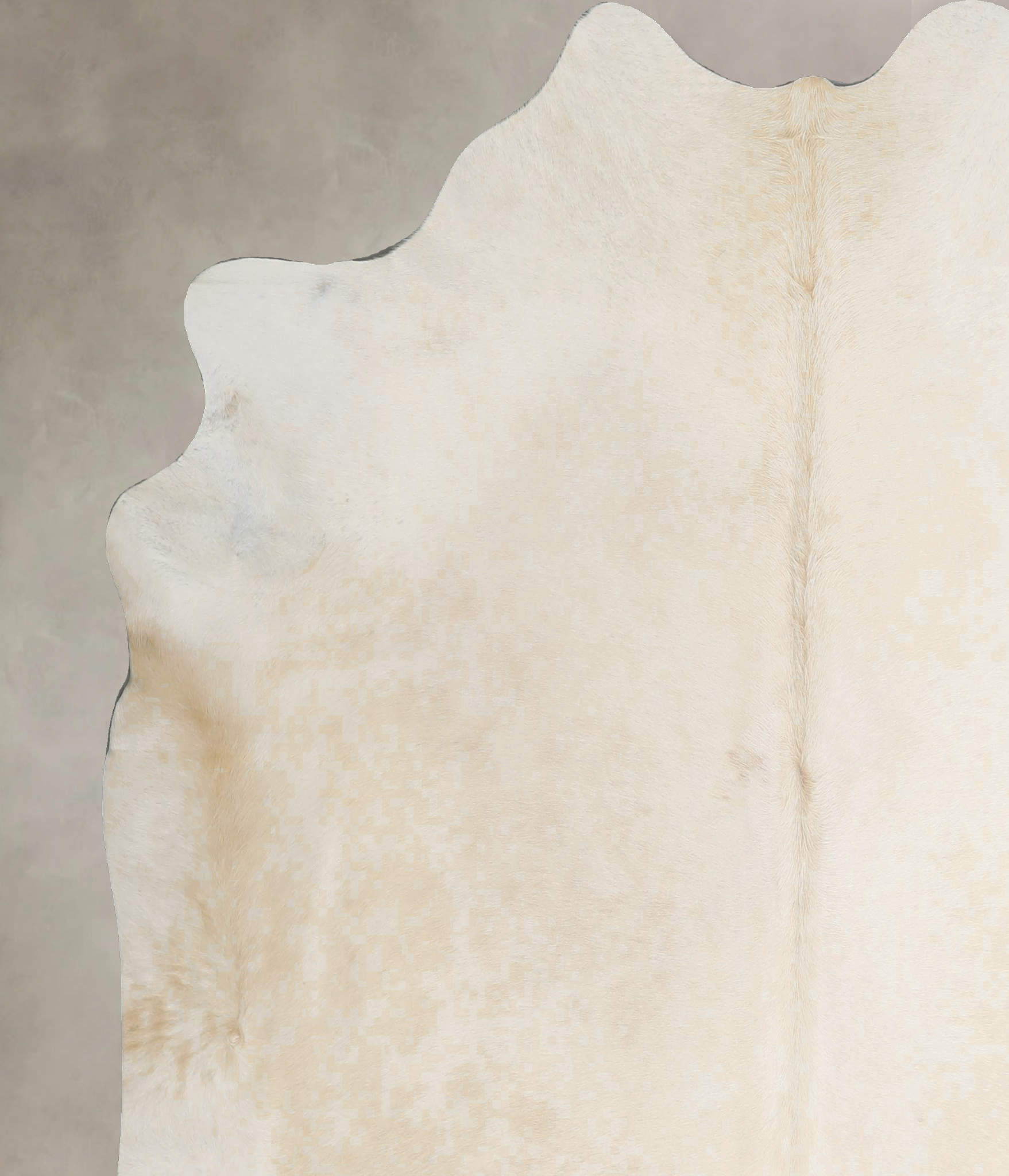 Ivory with Beige Cowhide Rug #A45521