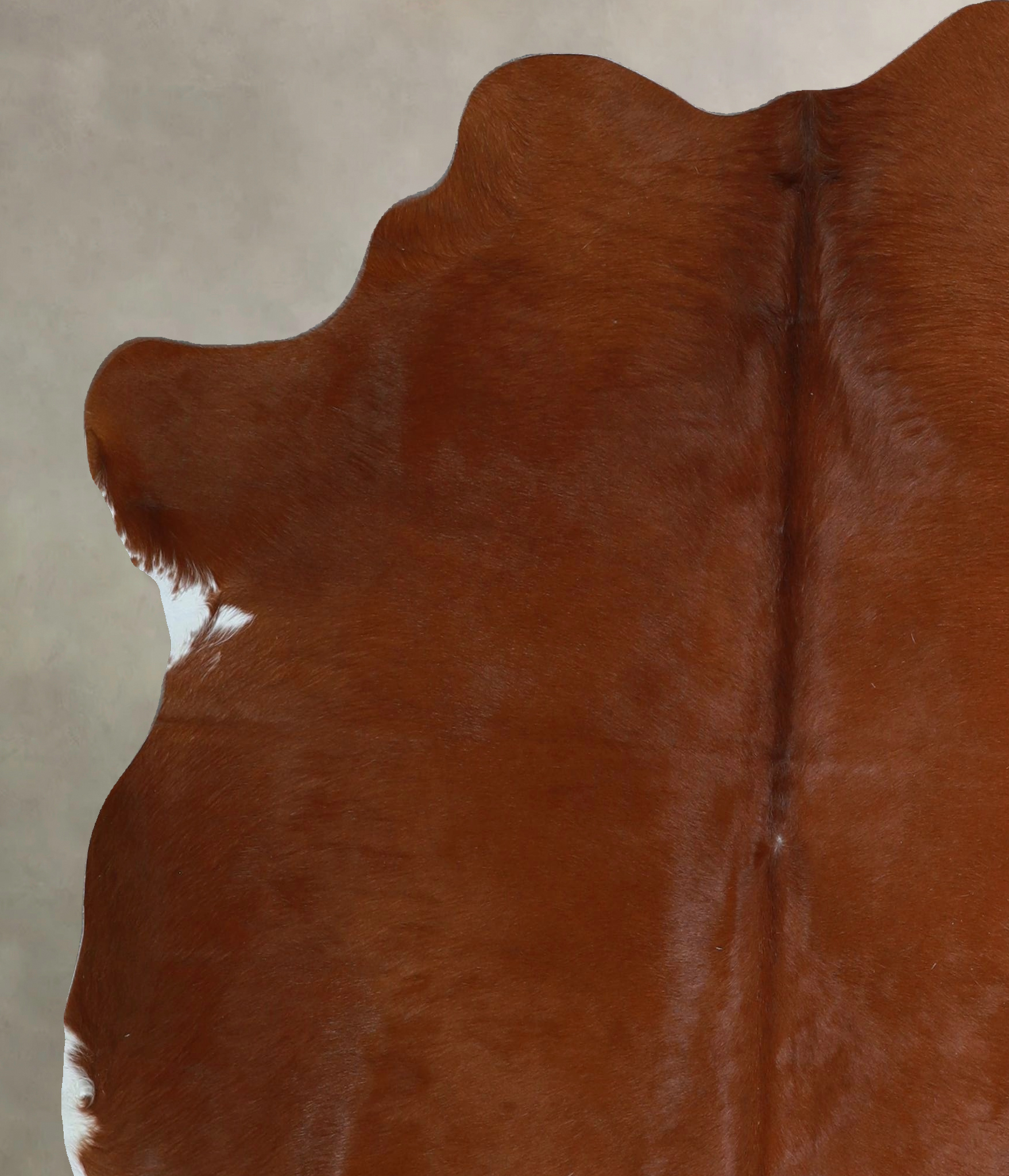Solid Brown Cowhide Rug #A45530