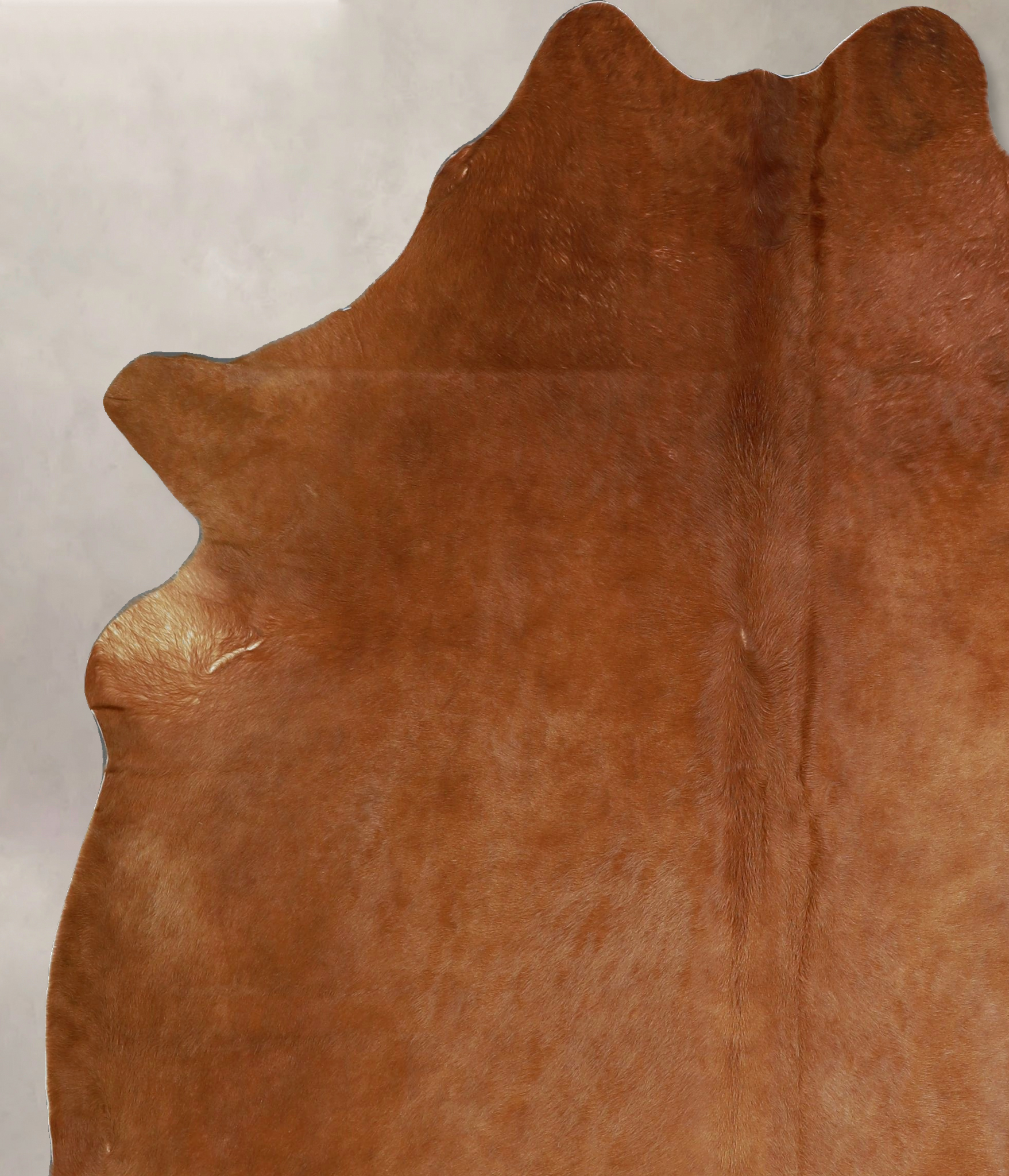 Solid Brown Cowhide Rug #A45531