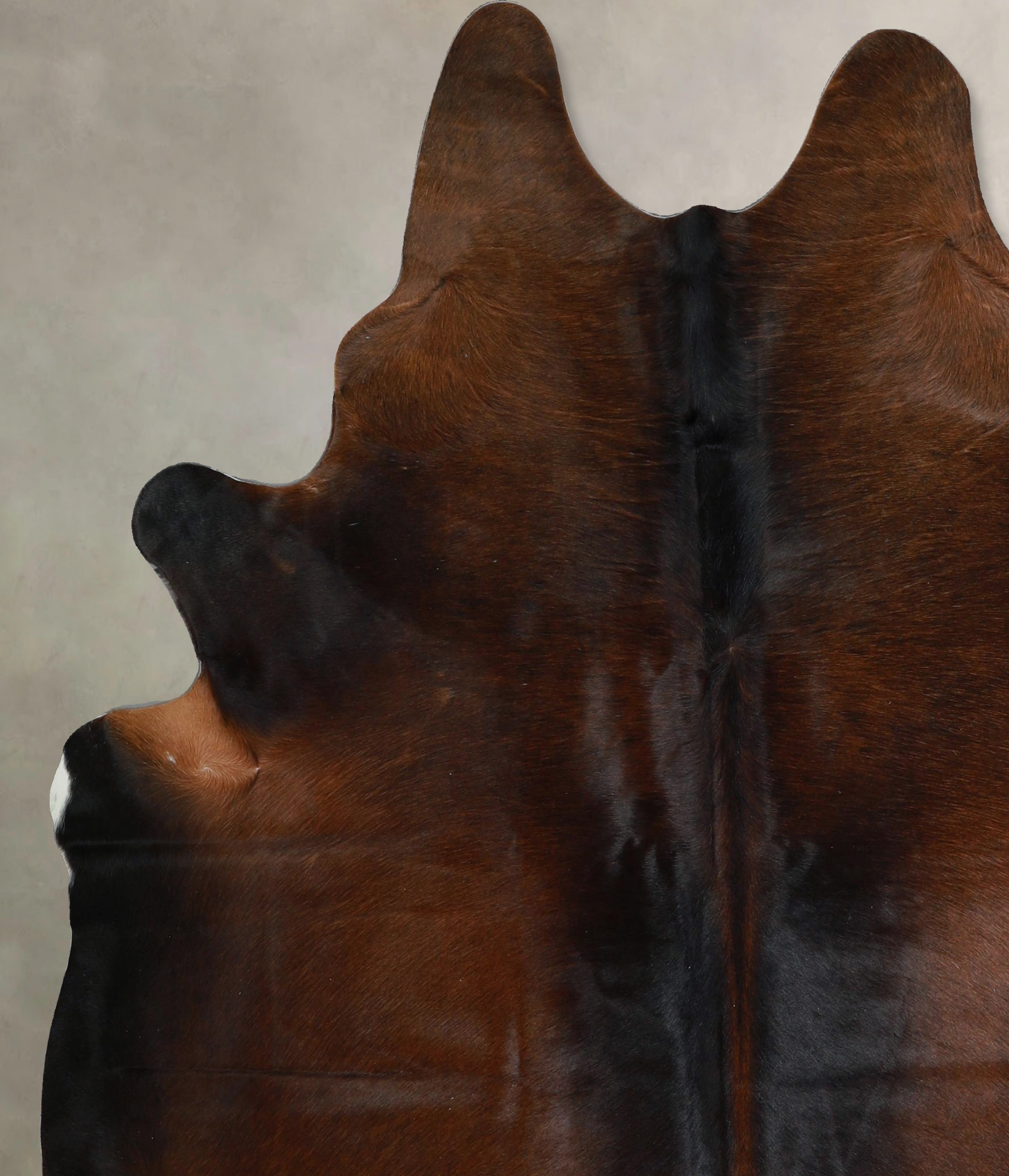 Warm Caramel Cowhide Rug #A45536