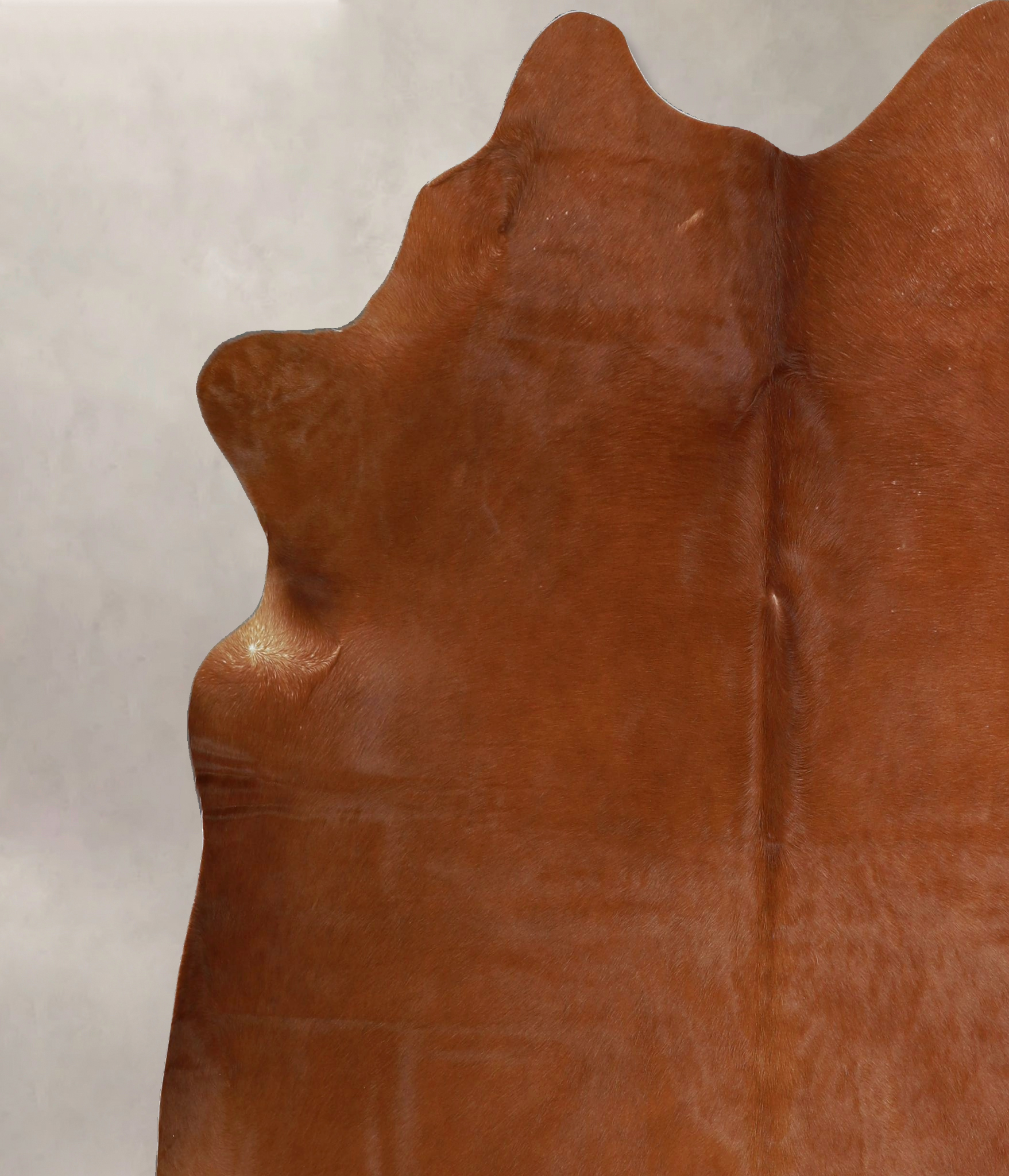 Solid Brown Cowhide Rug #A45562