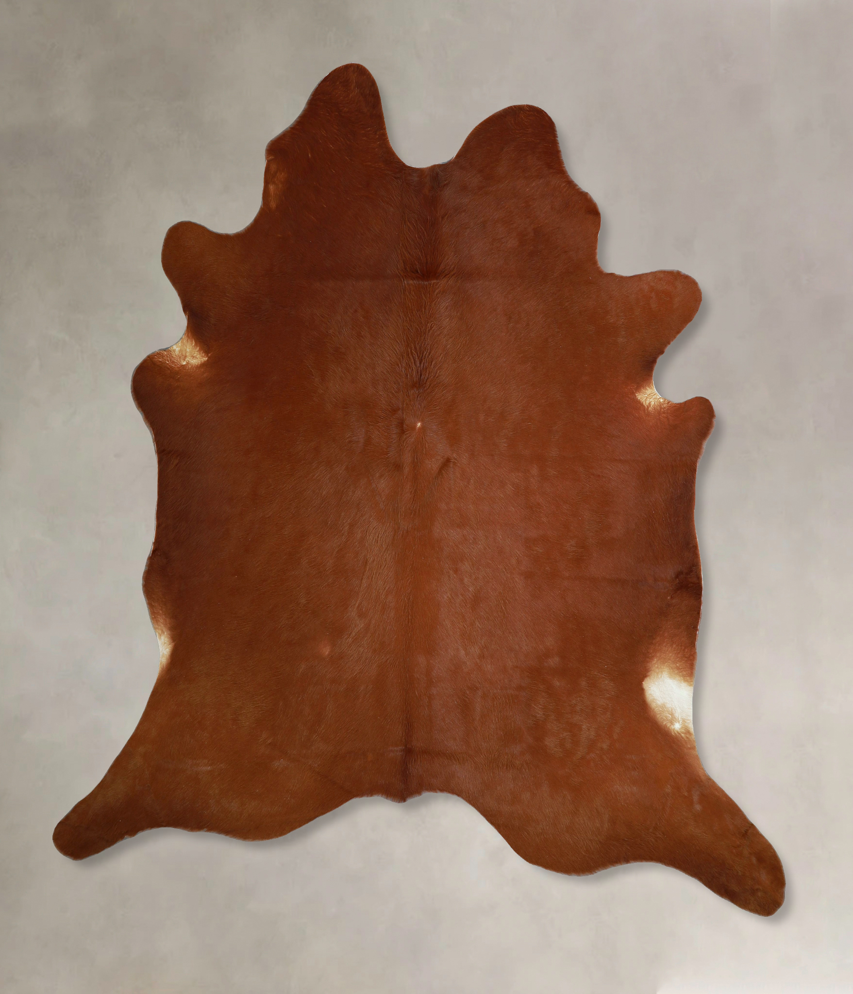 Solid Brown Cowhide Rug #A45575