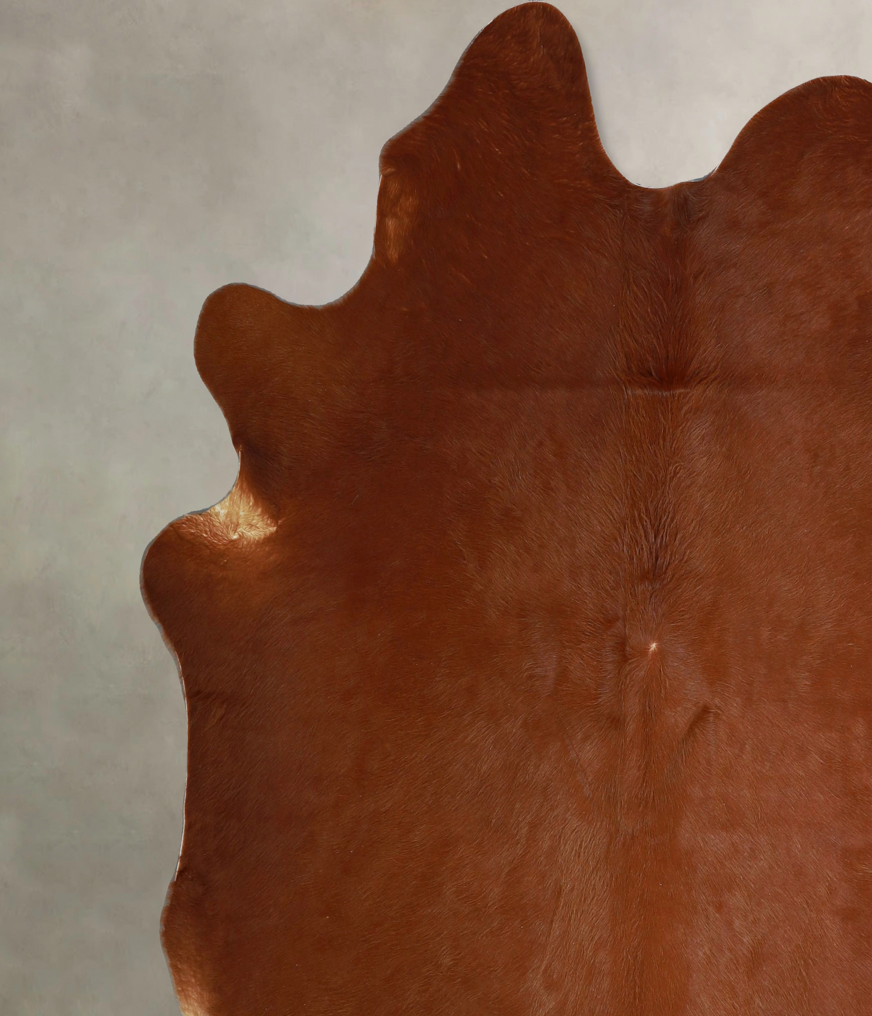 Solid Brown Cowhide Rug #A45575