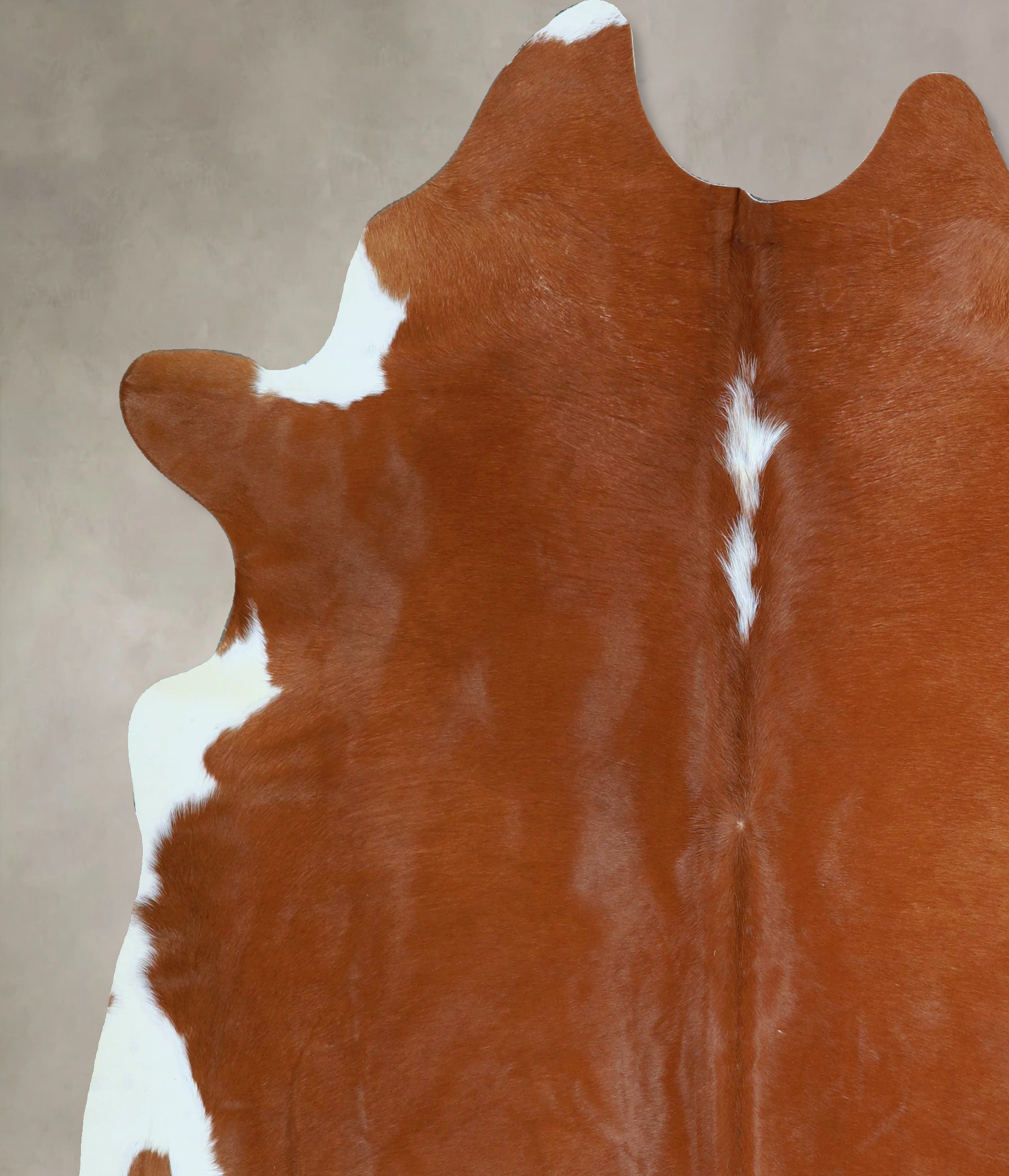 Brown and White Regular Cowhide Rug #A45577
