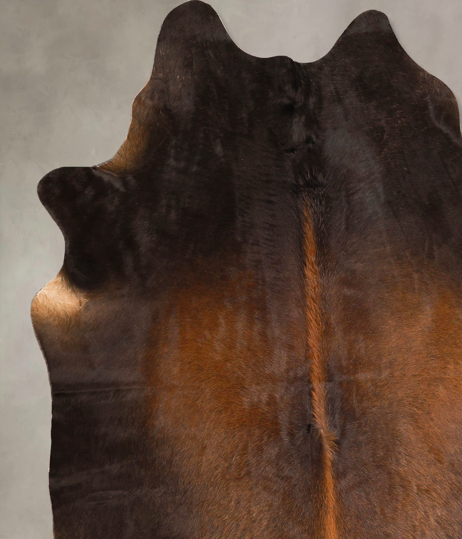 Chocolate Cowhide Rug #A45612