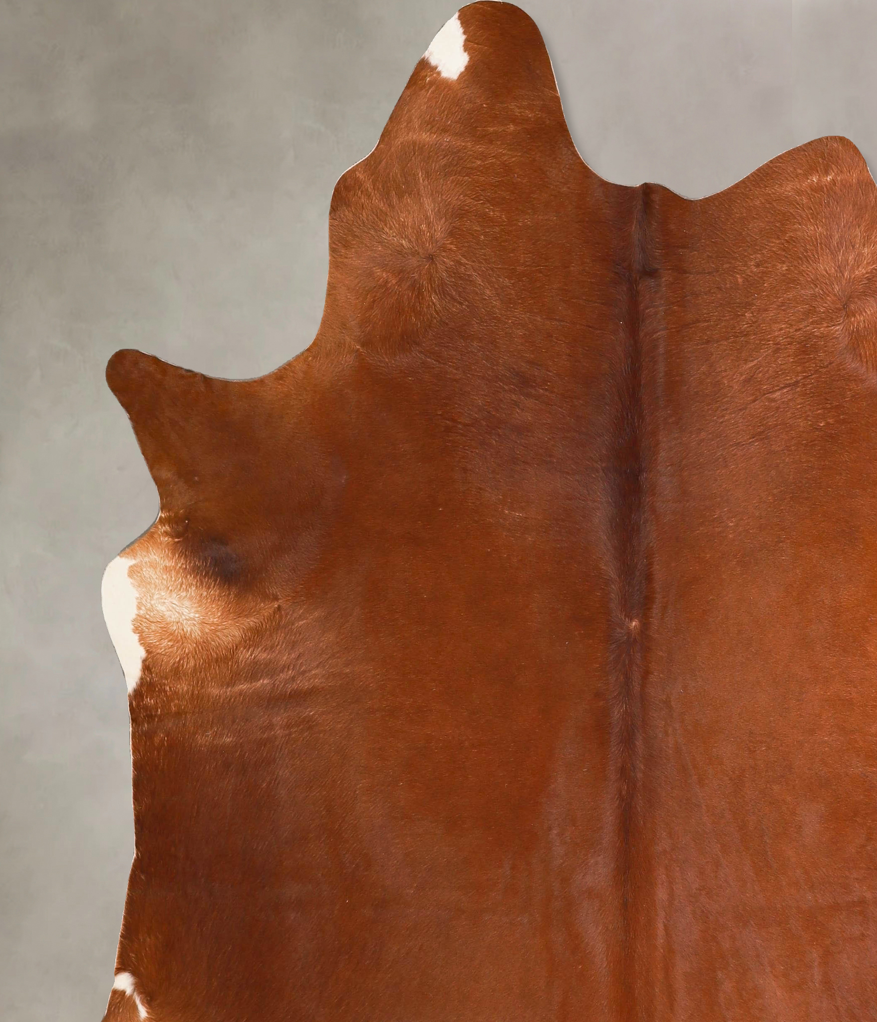 Solid Brown Cowhide Rug #A45619