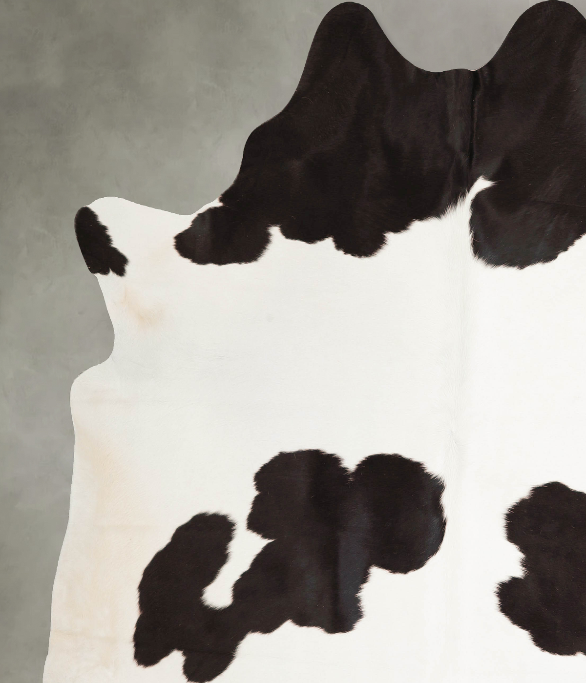 Black and White XX-Large Brazilian Cowhide Rug 7'7"H x 6'10"W #A45628 by Hudson Hides