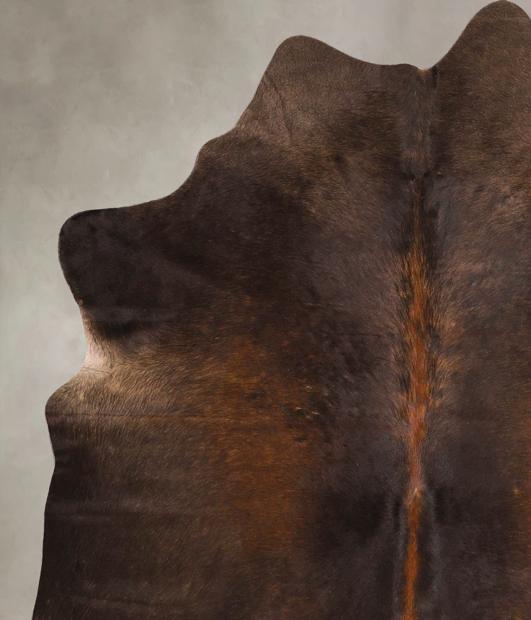 Chocolate Cowhide Rug #A45637