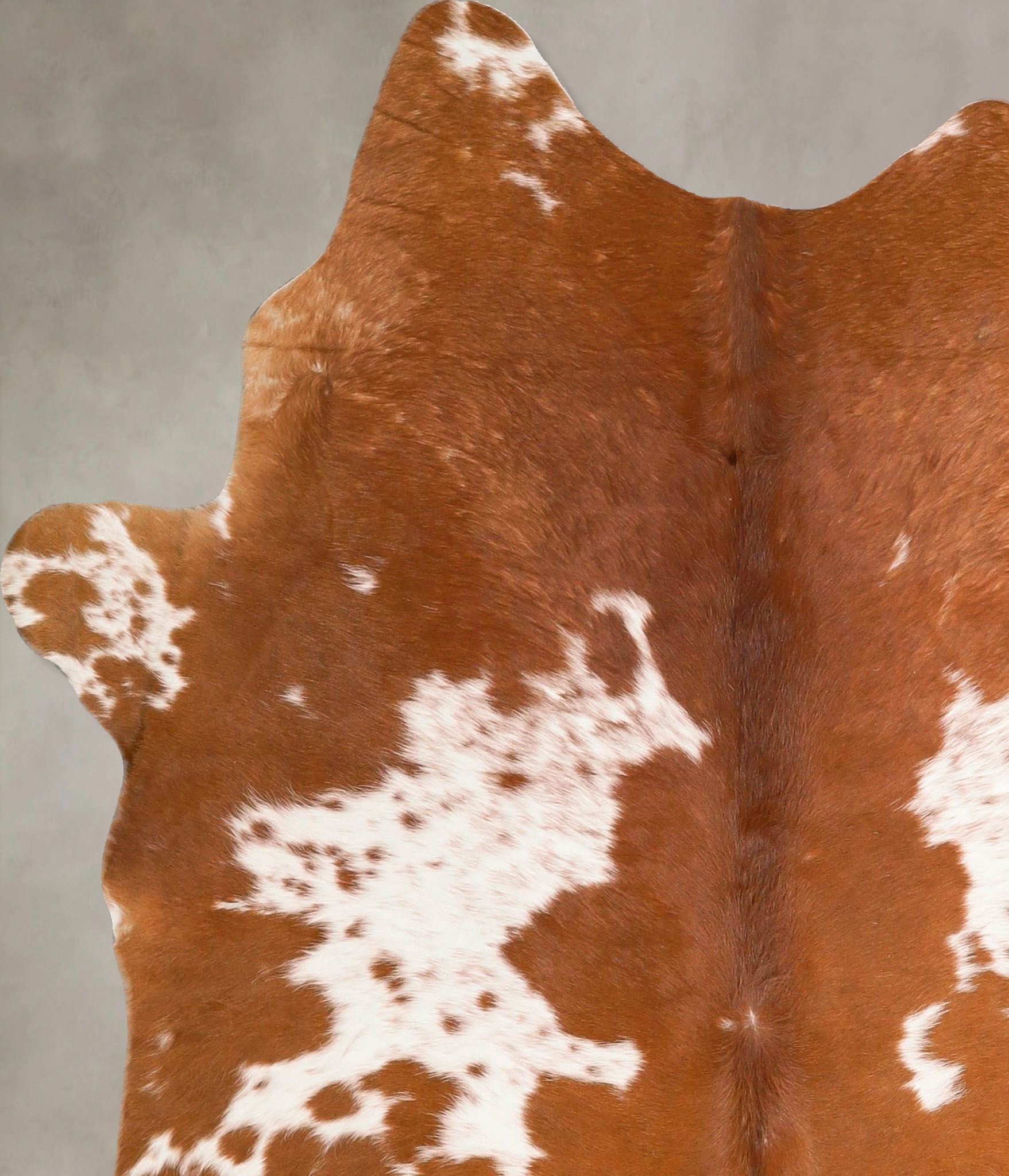 Brown and White Cowhide Rug #A45638