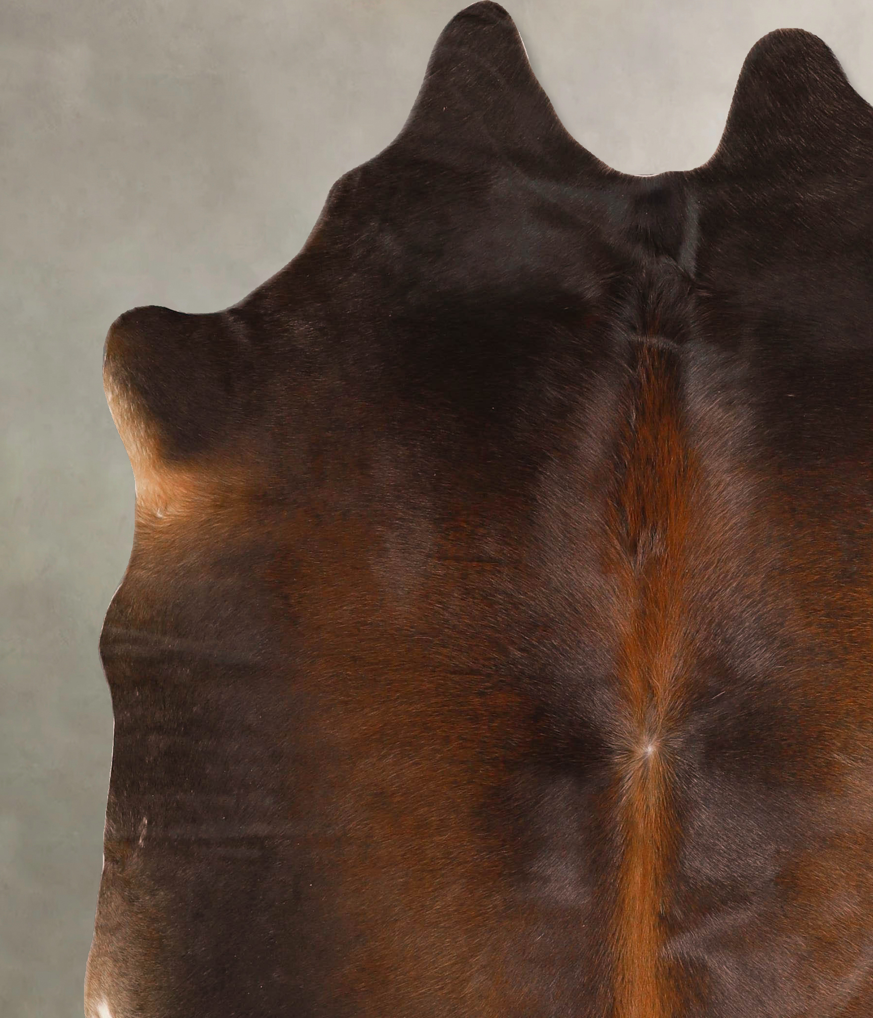 Chocolate Cowhide Rug #A45639
