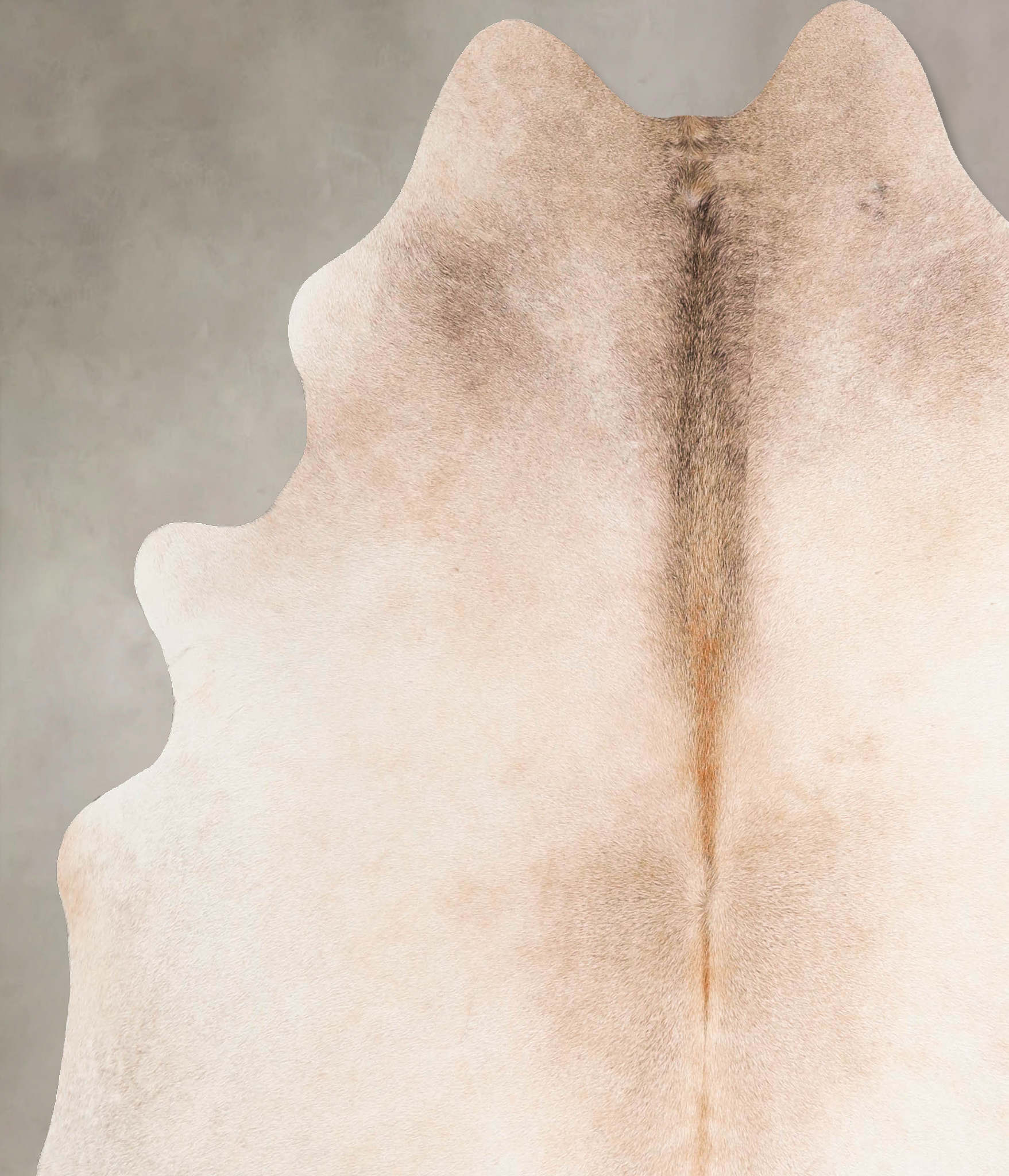 Ivory with Beige Cowhide Rug #A45663