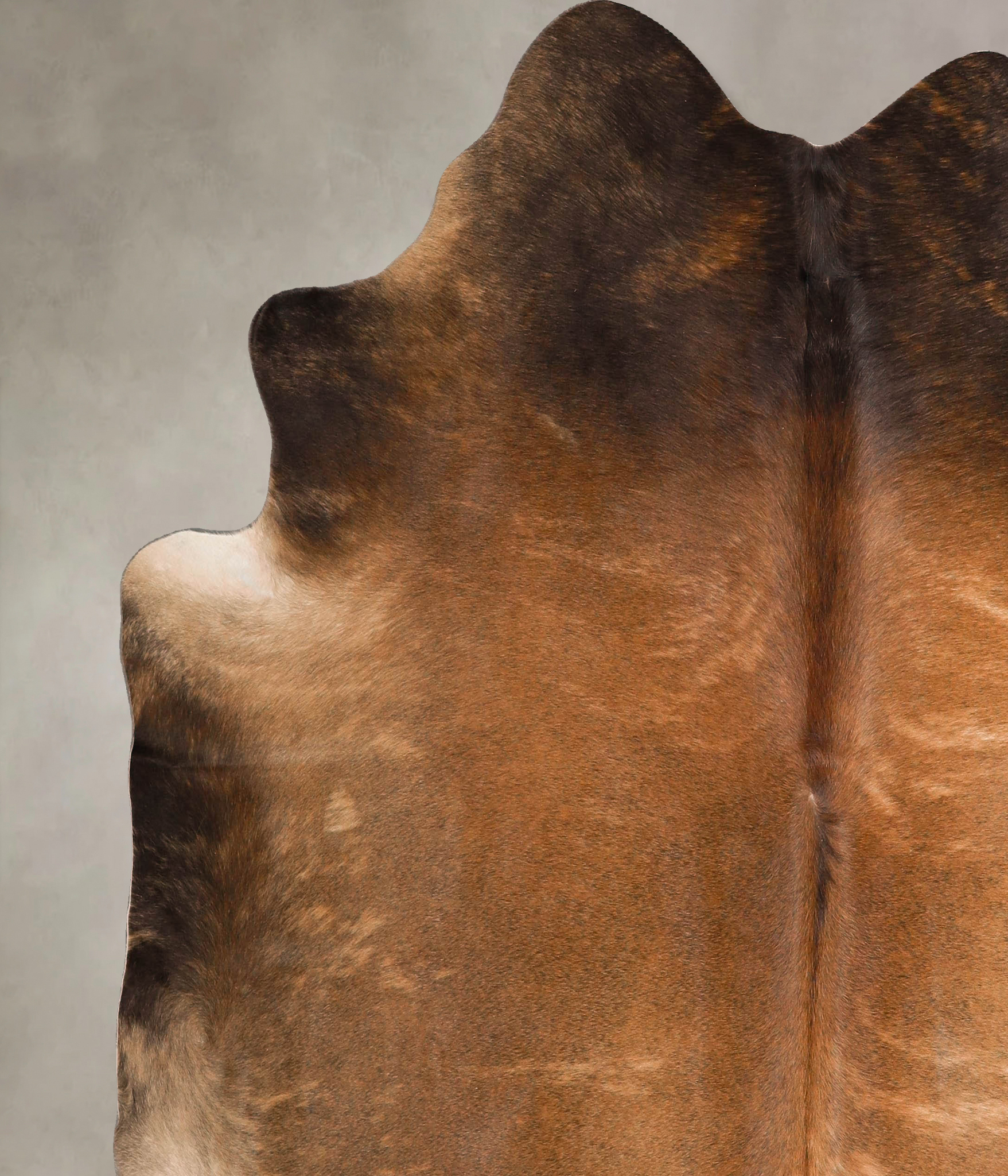 Warm Caramel Cowhide Rug #A45668