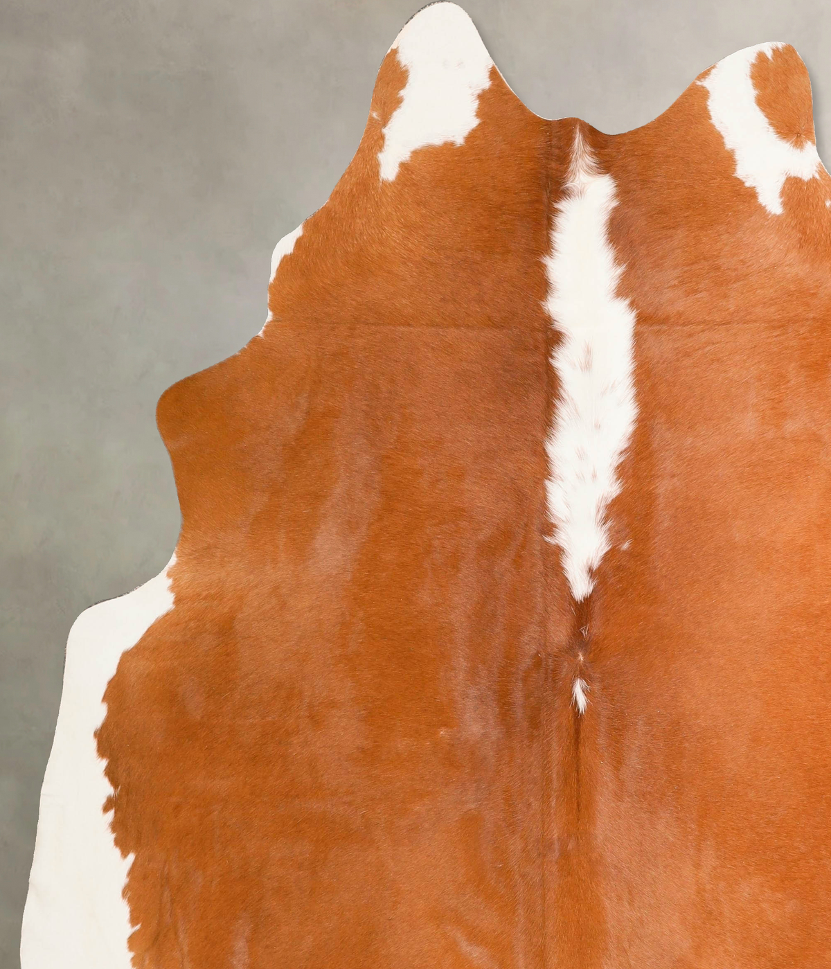 Hereford X-Large Brazilian Cowhide Rug 7'6"H x 6'2"W #A45682 by Hudson Hides