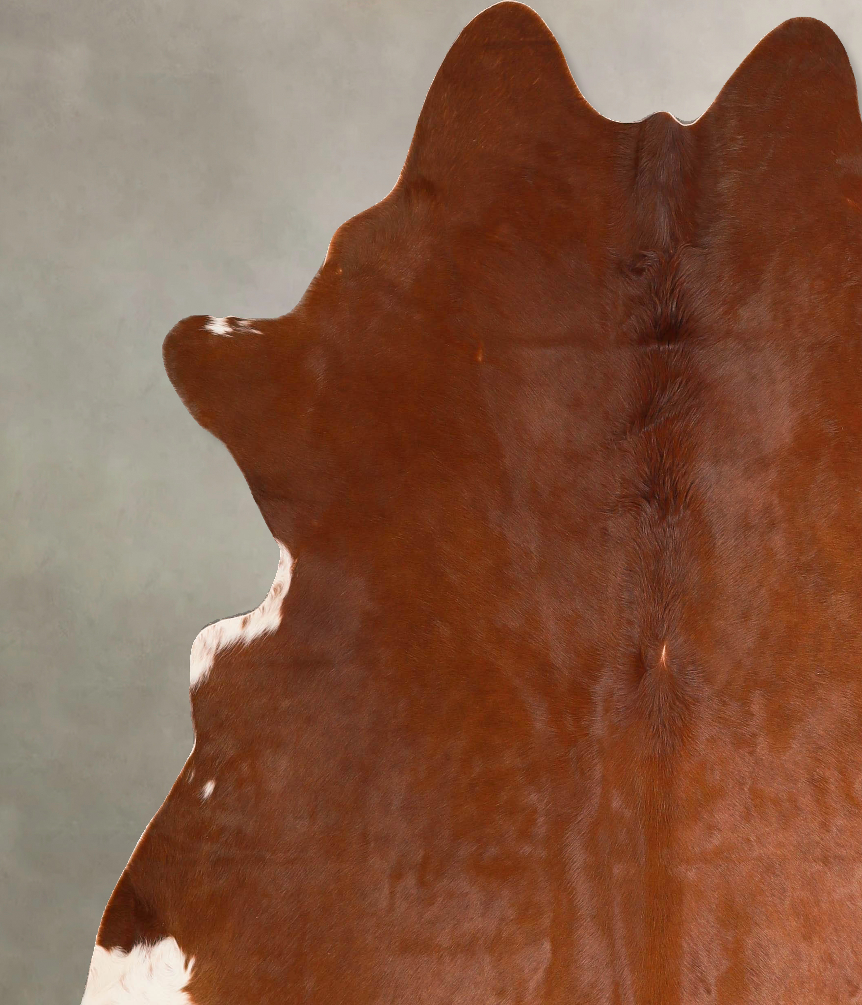 Solid Brown Cowhide Rug #A45692