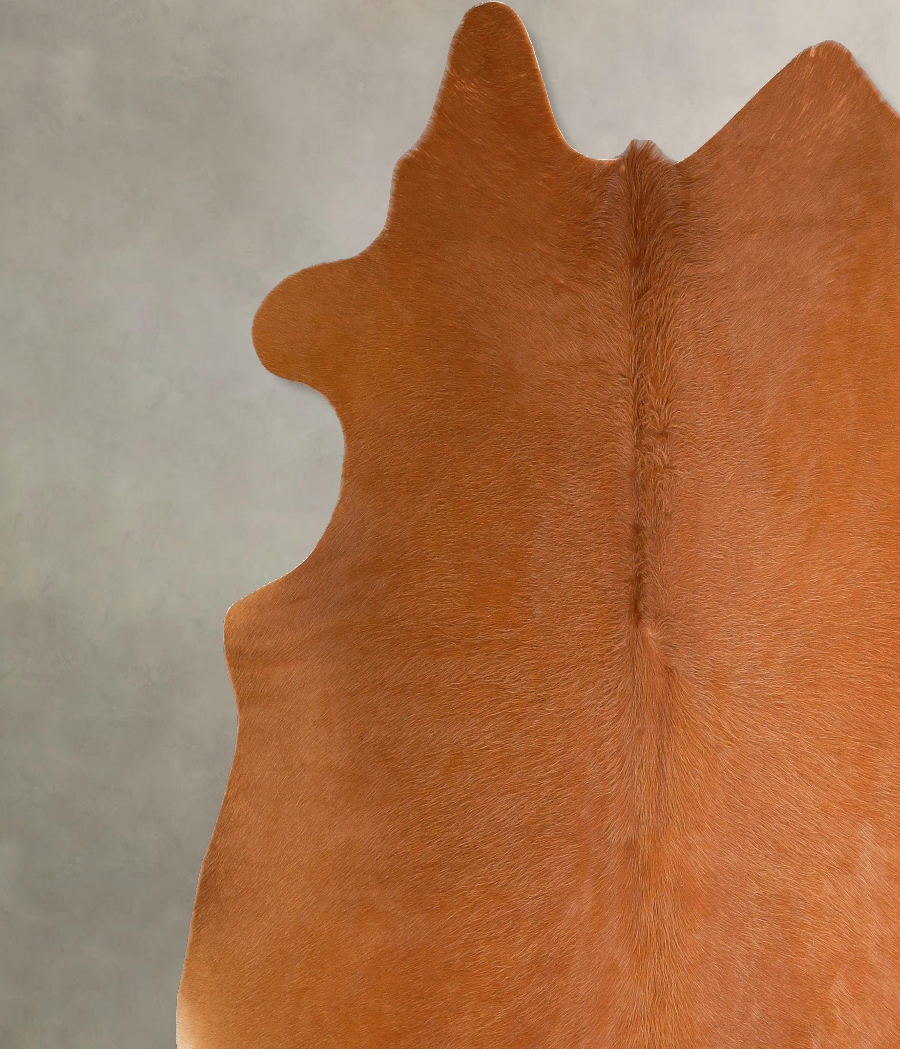 Solid Brown Cowhide Rug #A45695