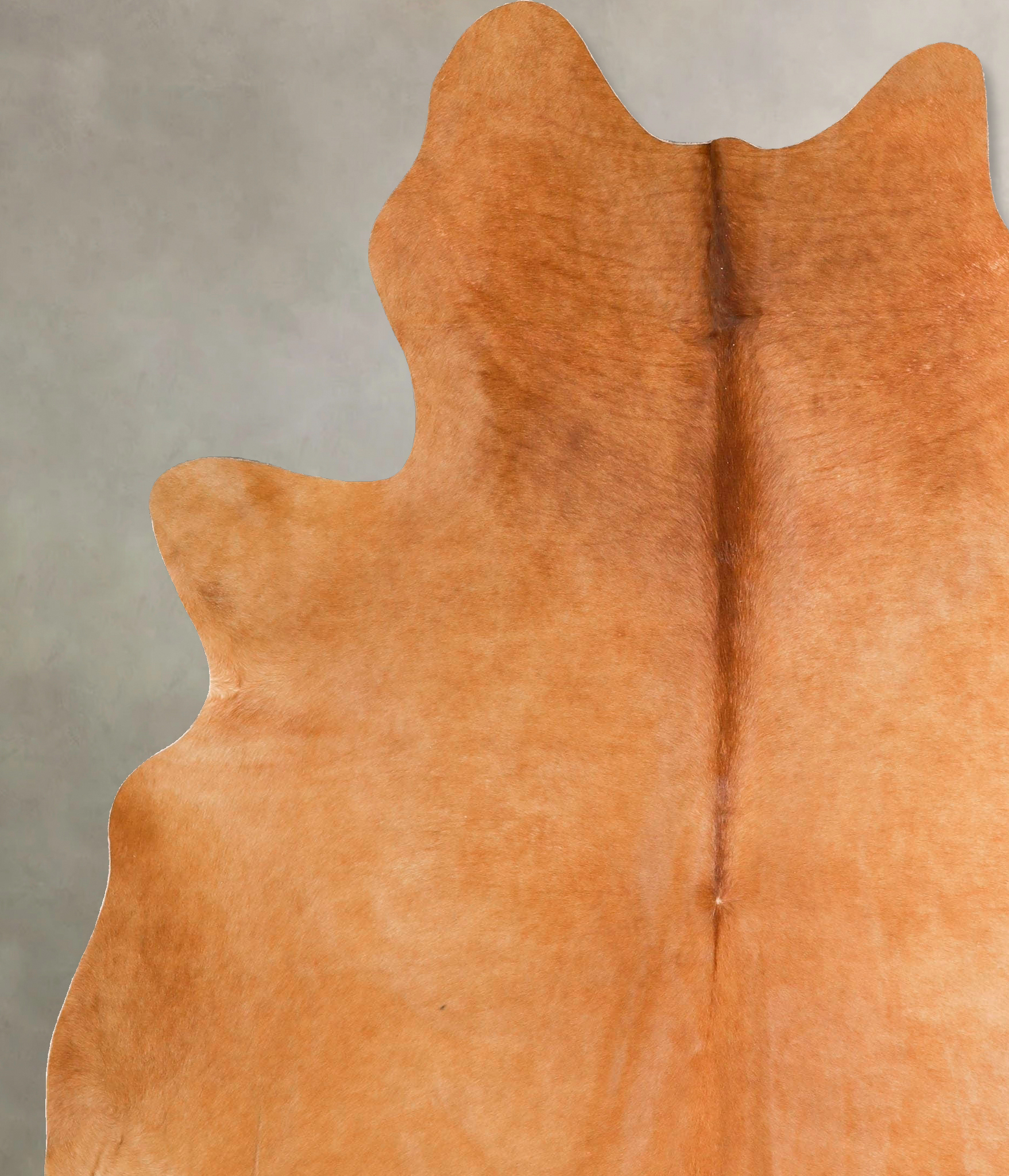 Solid Brown Cowhide Rug #A45732