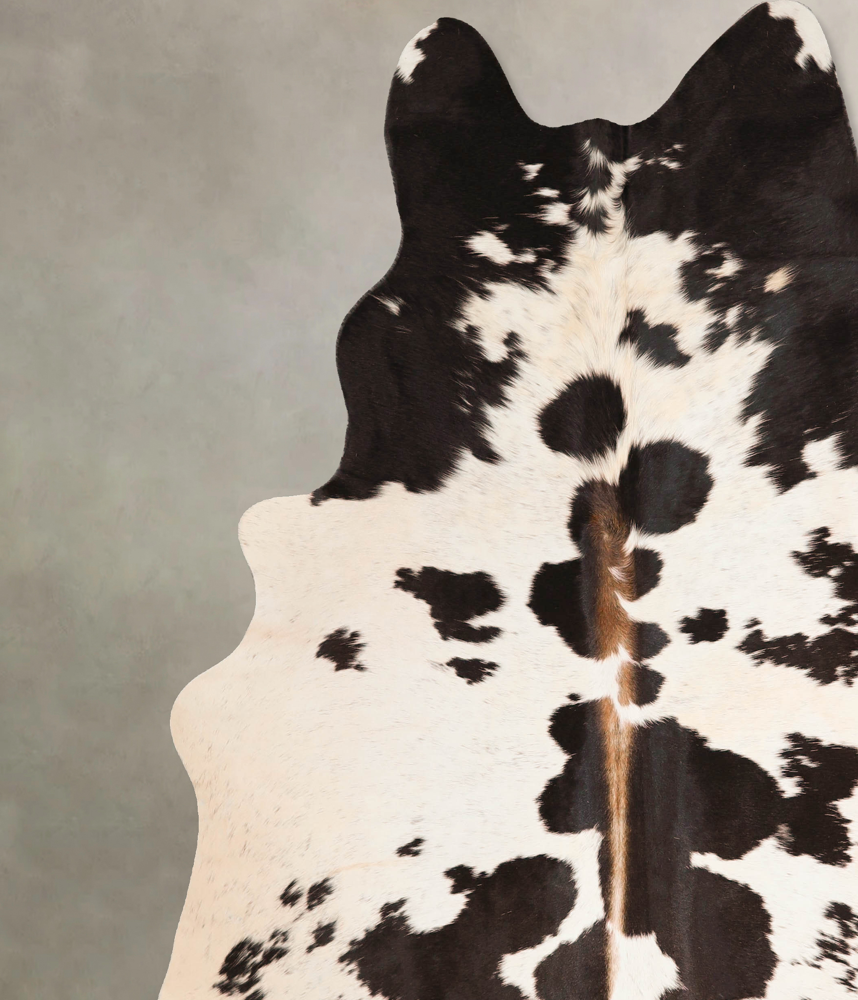 Chocolate and White Cowhide Rug #A45747