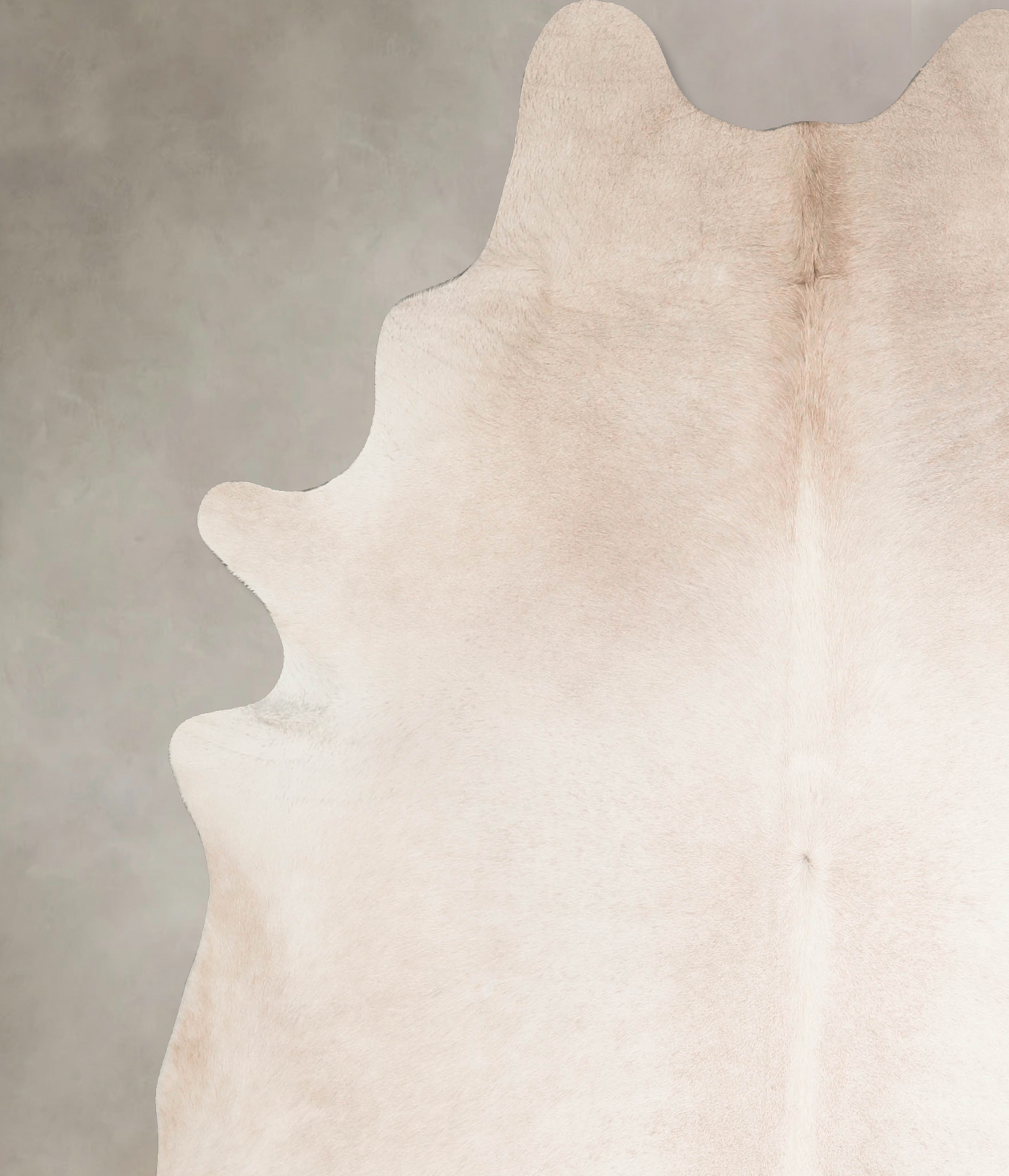 Ivory with Beige Cowhide Rug #A45748