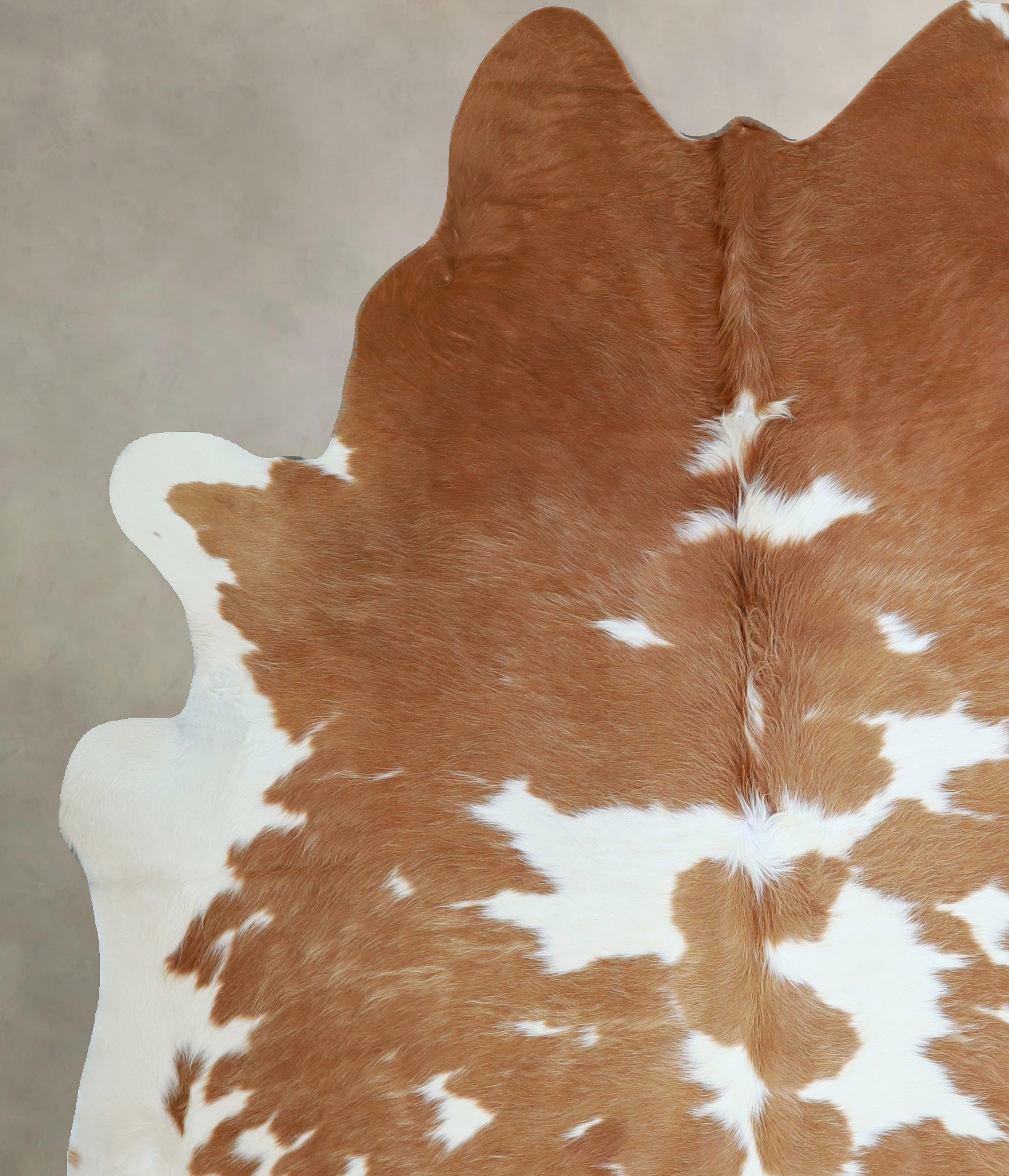 Brown and White Cowhide Rug #A45761