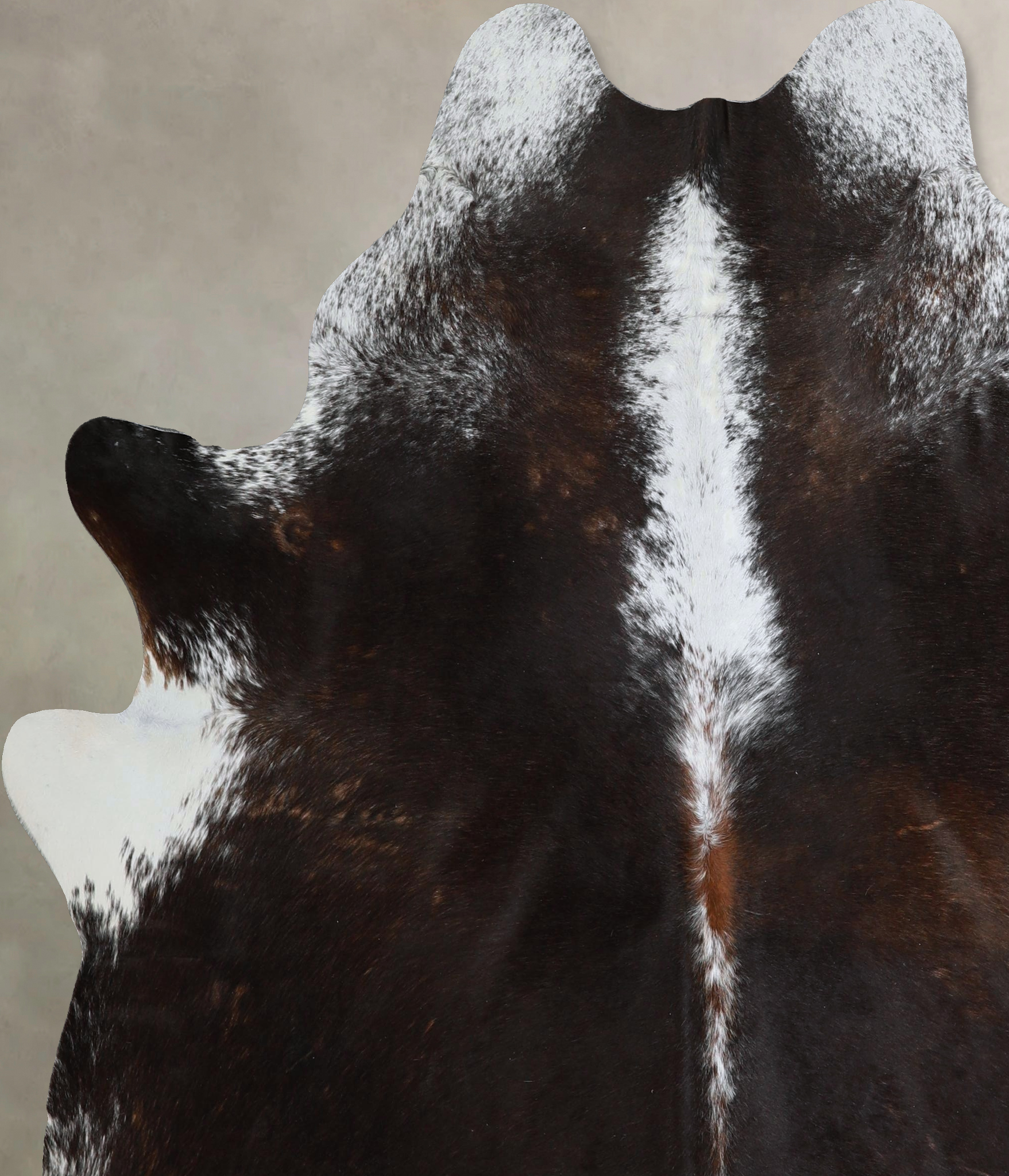 Chocolate and White Cowhide Rug #A45769