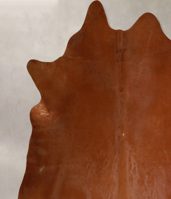 Solid Brown X-Large Brazilian Cowhide Rug 6'10"H x 6'10"W #A45778 by Hudson Hides