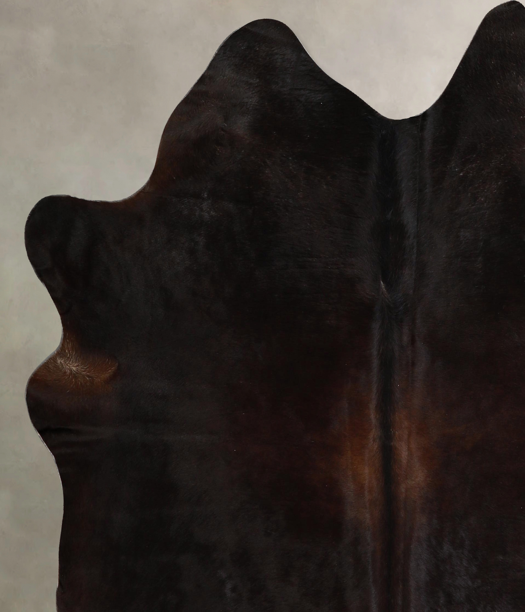Chocolate Cowhide Rug #A45779
