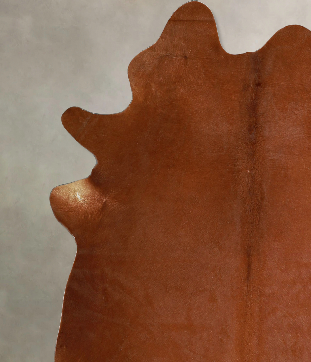 Solid Brown X-Large Brazilian Cowhide Rug 7'1"H x 5'11"W #A45786 by Hu