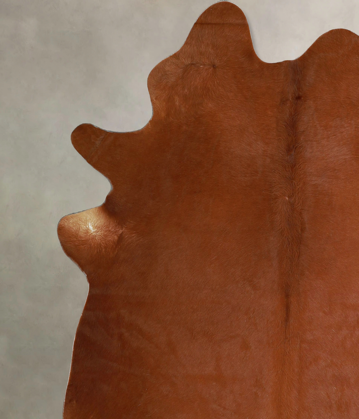 Solid Brown X-Large Brazilian Cowhide Rug 7'1"H x 5'11"W #A45786 by Hudson Hides