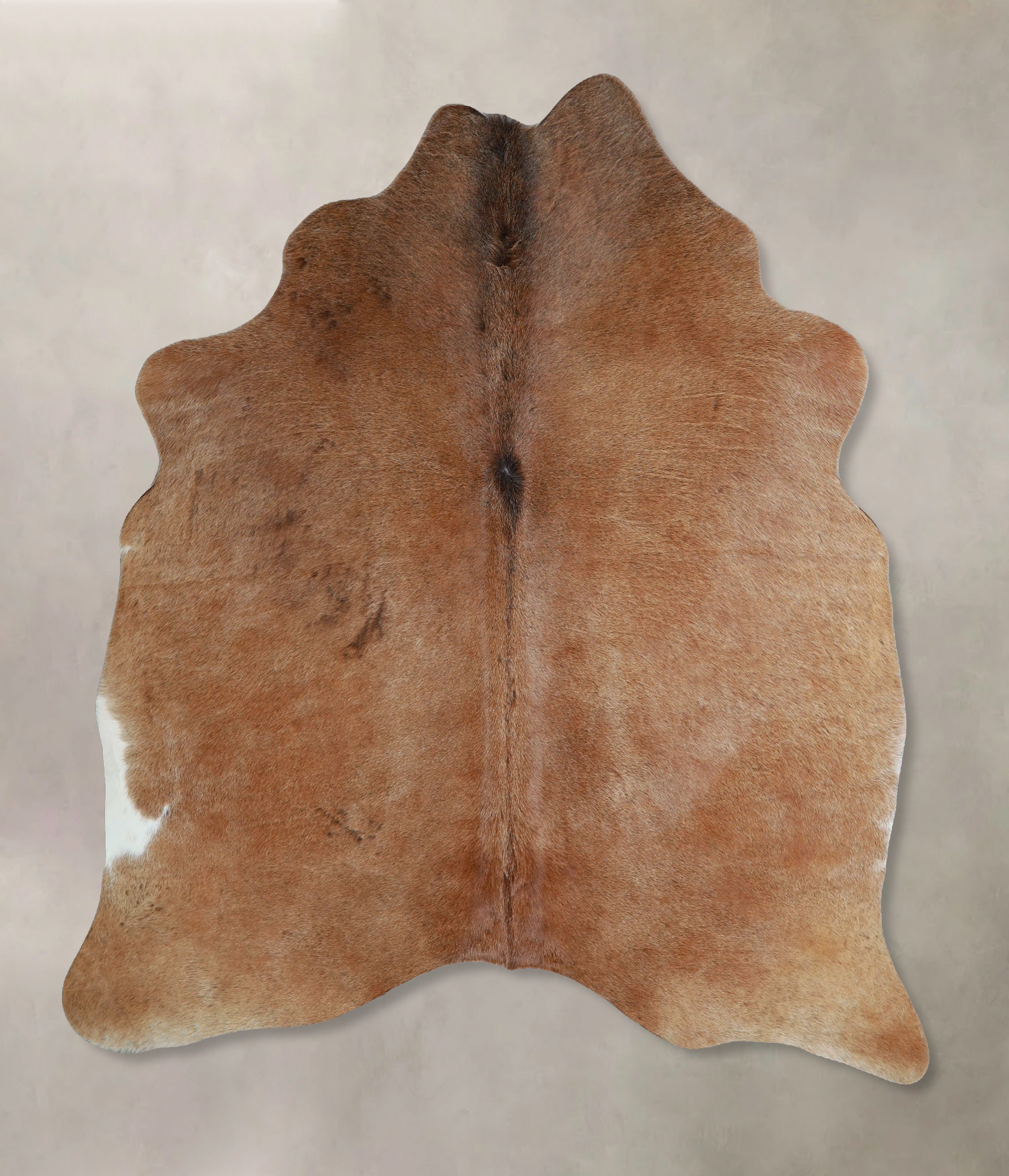 Warm Caramel Cowhide Rug #A45789