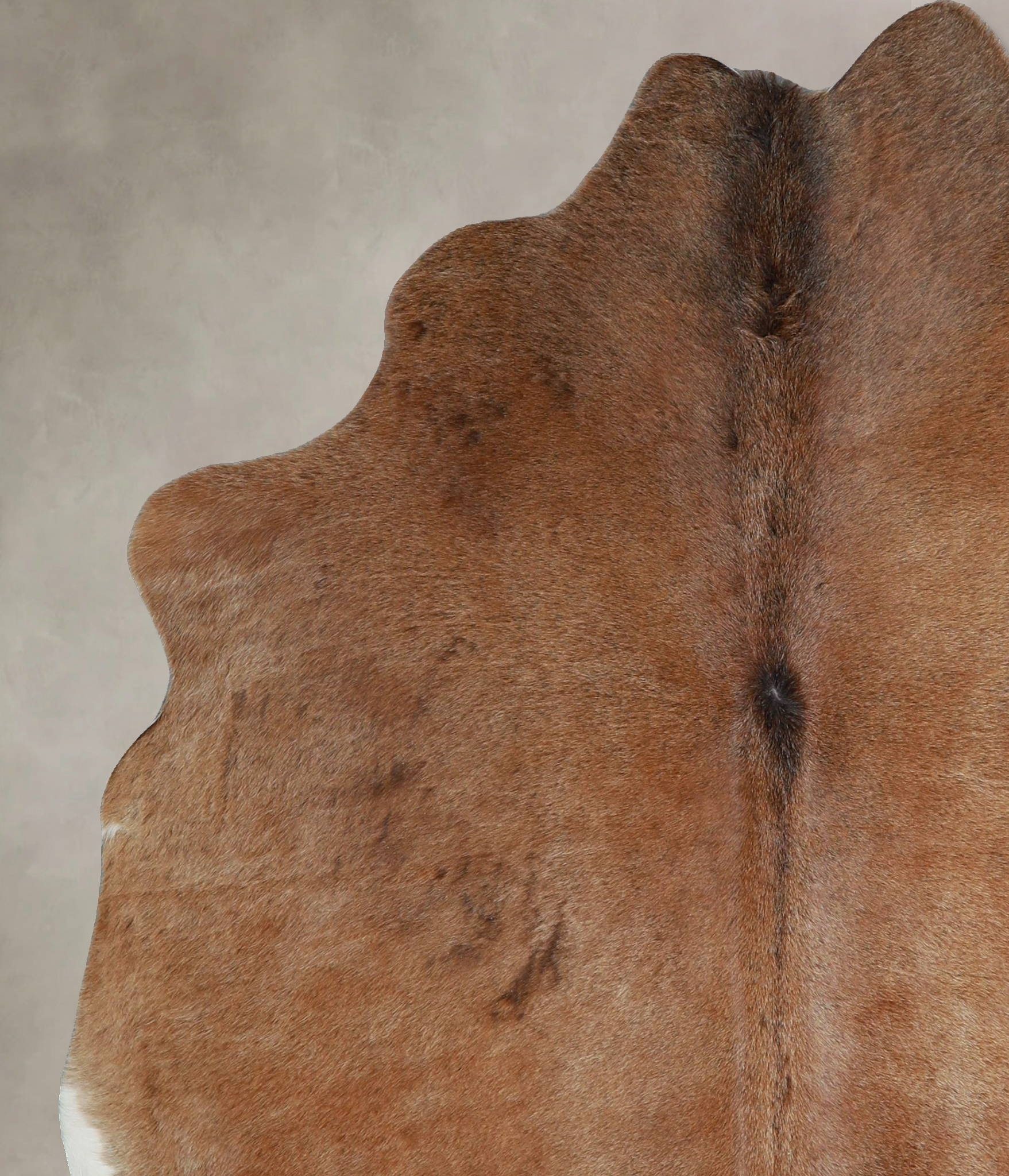 Warm Caramel Cowhide Rug #A45789