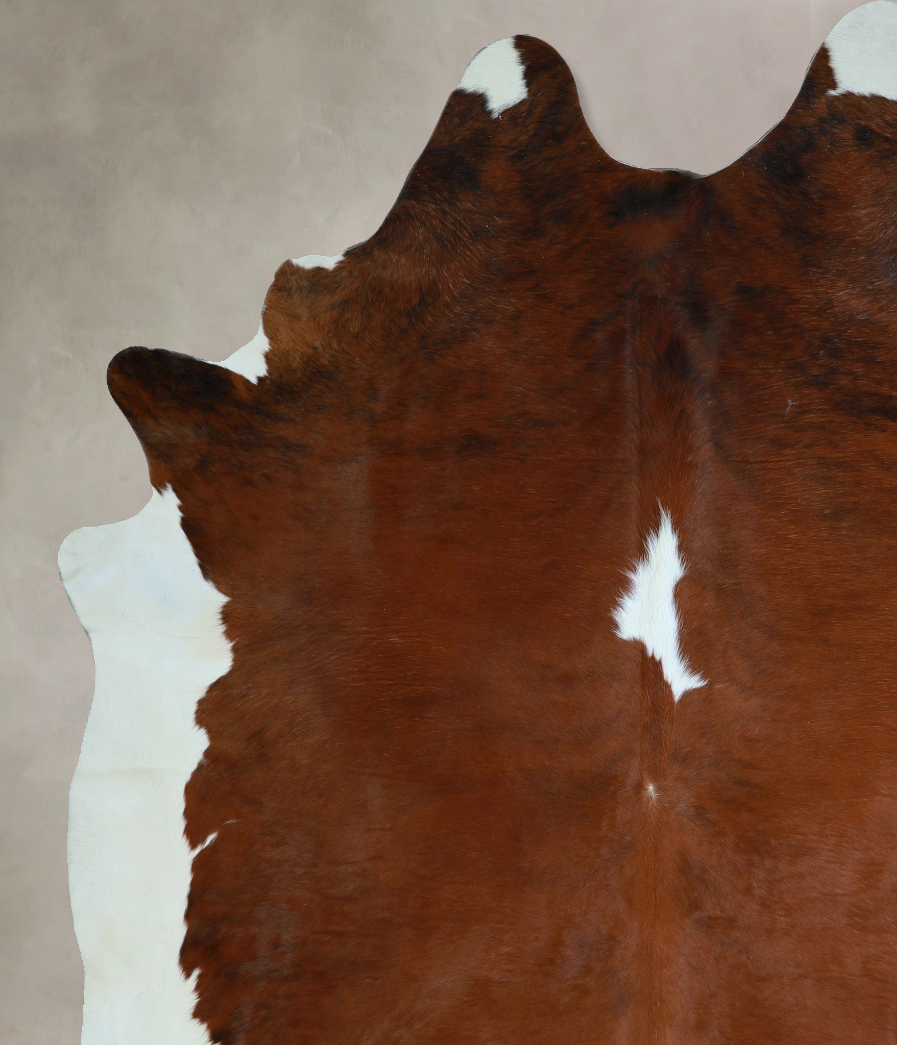 Tricolor Cowhide Rug #A45805