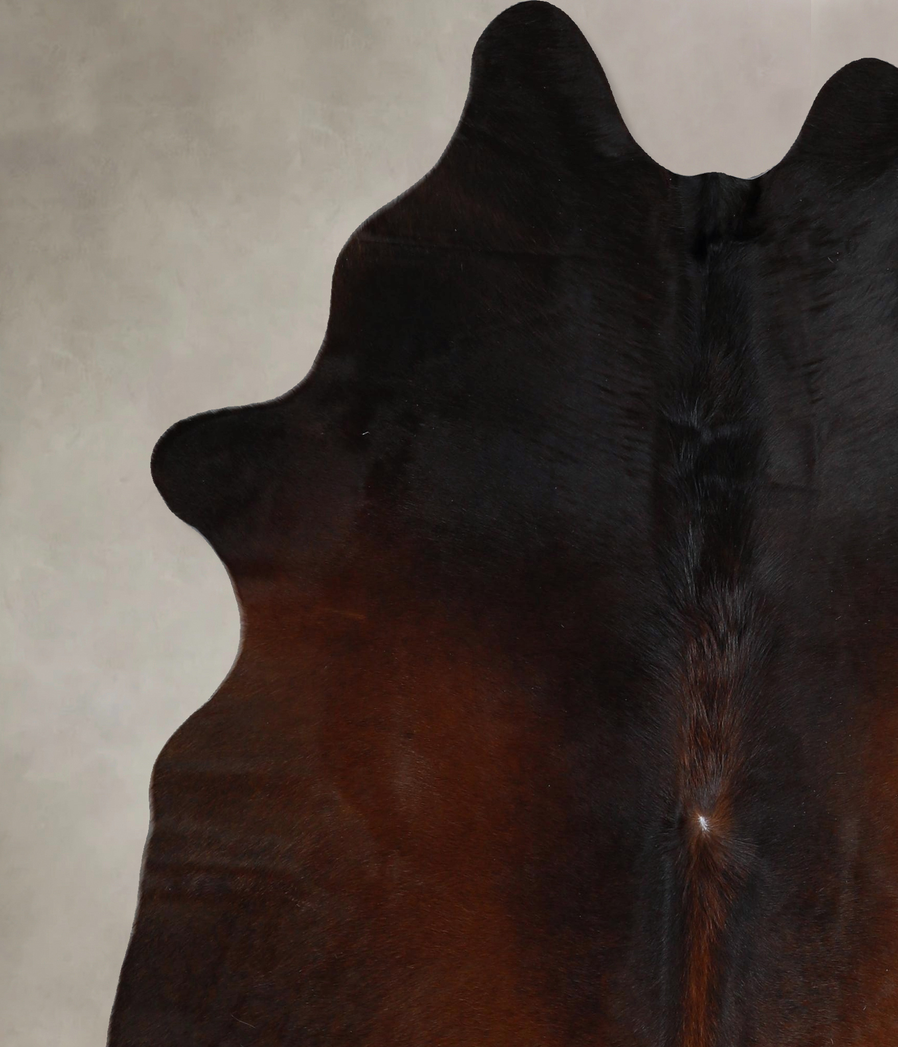Warm Caramel Cowhide Rug #A45806
