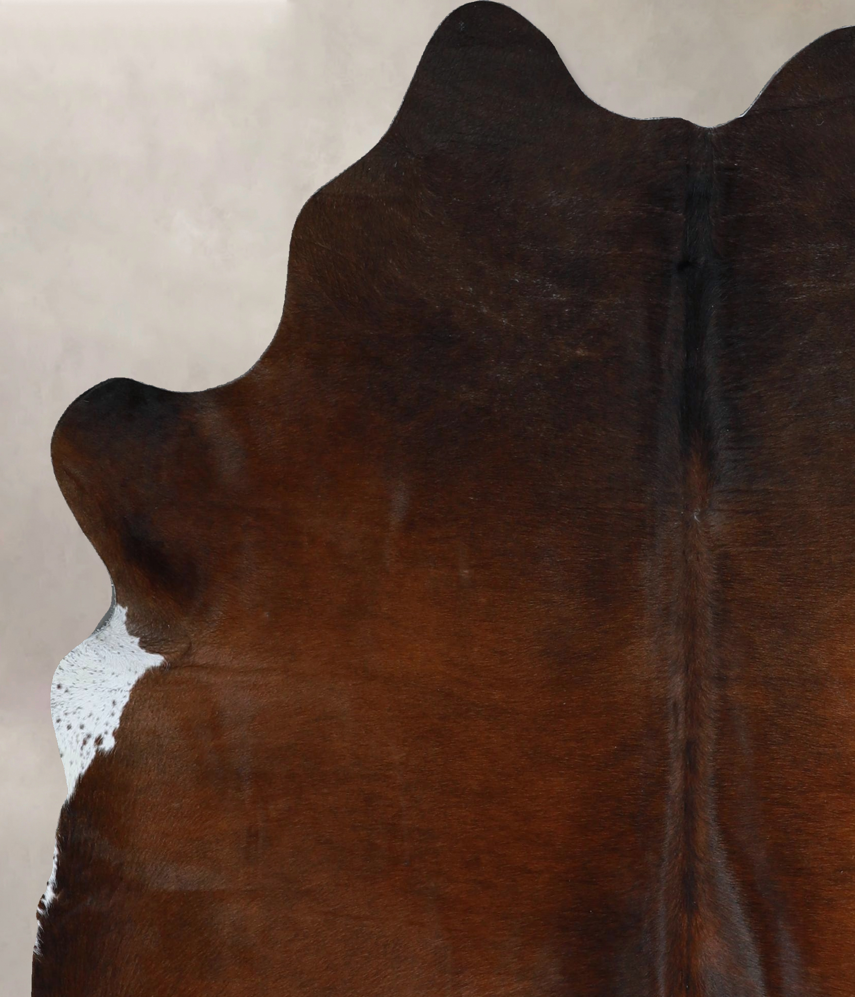 Warm Caramel Cowhide Rug #A45809
