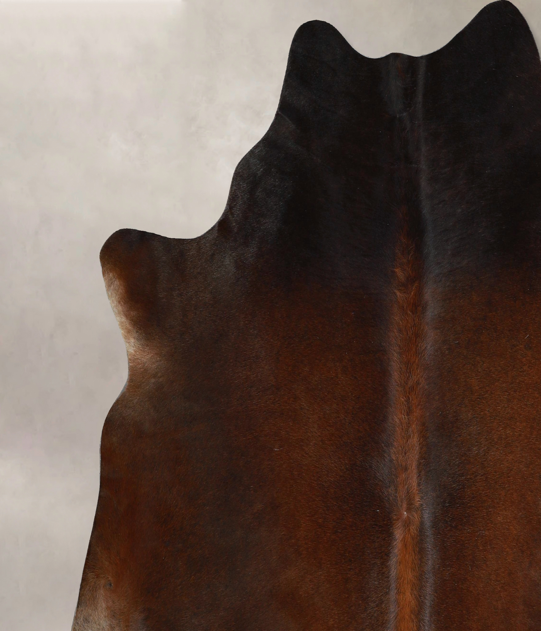 Chocolate Cowhide Rug #A45813