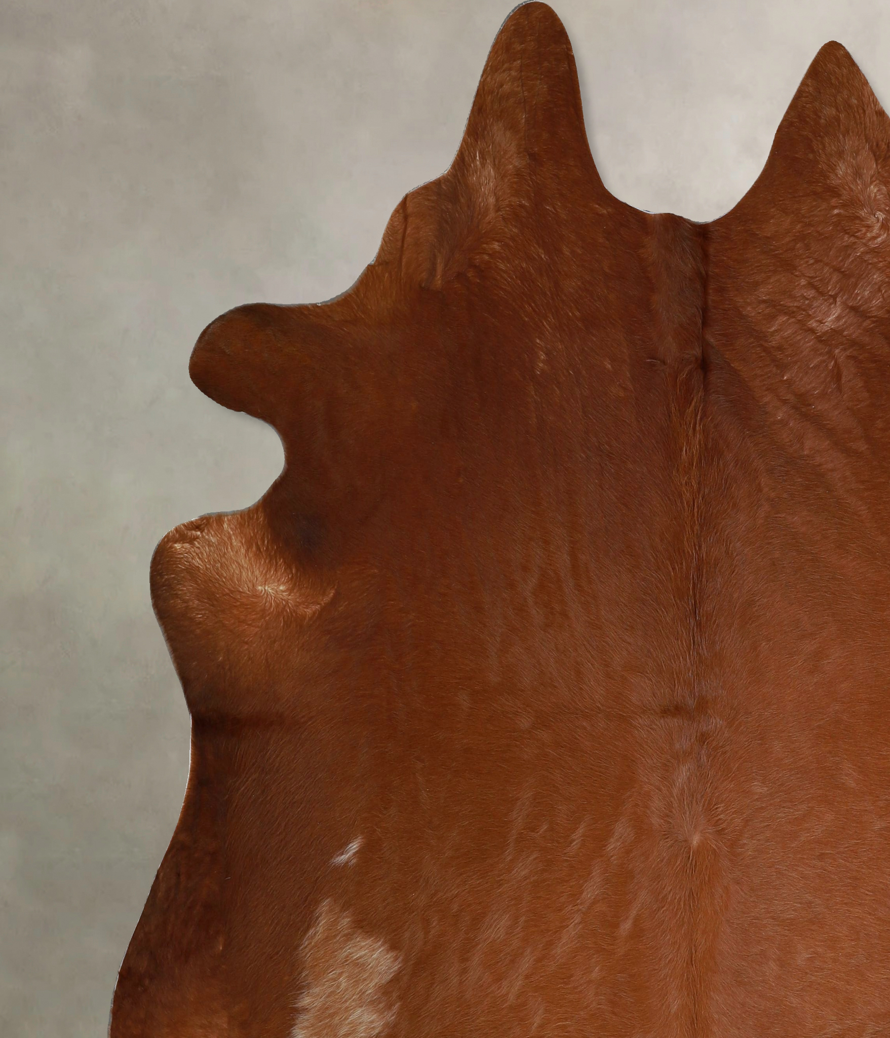 Solid Brown Cowhide Rug #A45830