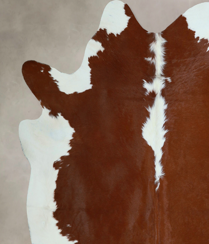 Hereford X-Large Brazilian Cowhide Rug 6'11"H x 6'11"W #A45850 by Hudson Hides