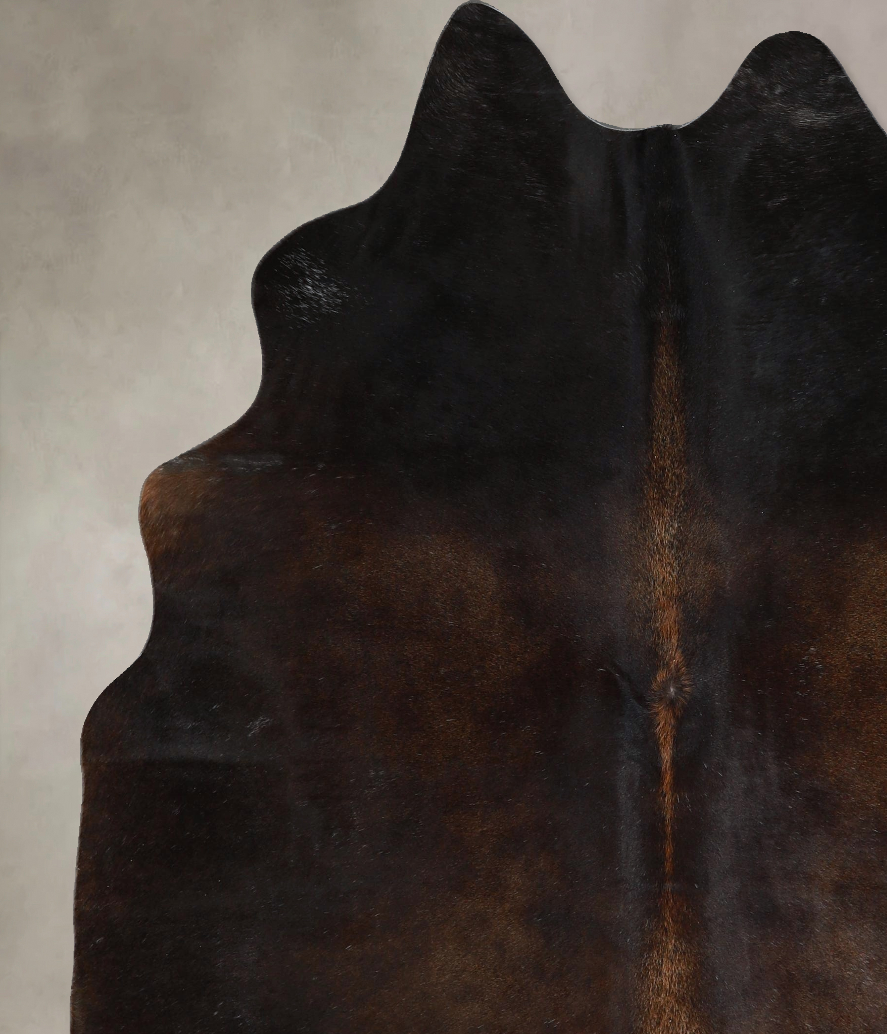 Chocolate Cowhide Rug #A45857