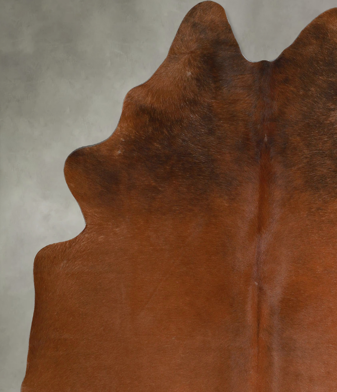 Warm Caramel Large Brazilian Cowhide Rug 6'7"H x 5'2"W #A45859 by Huds