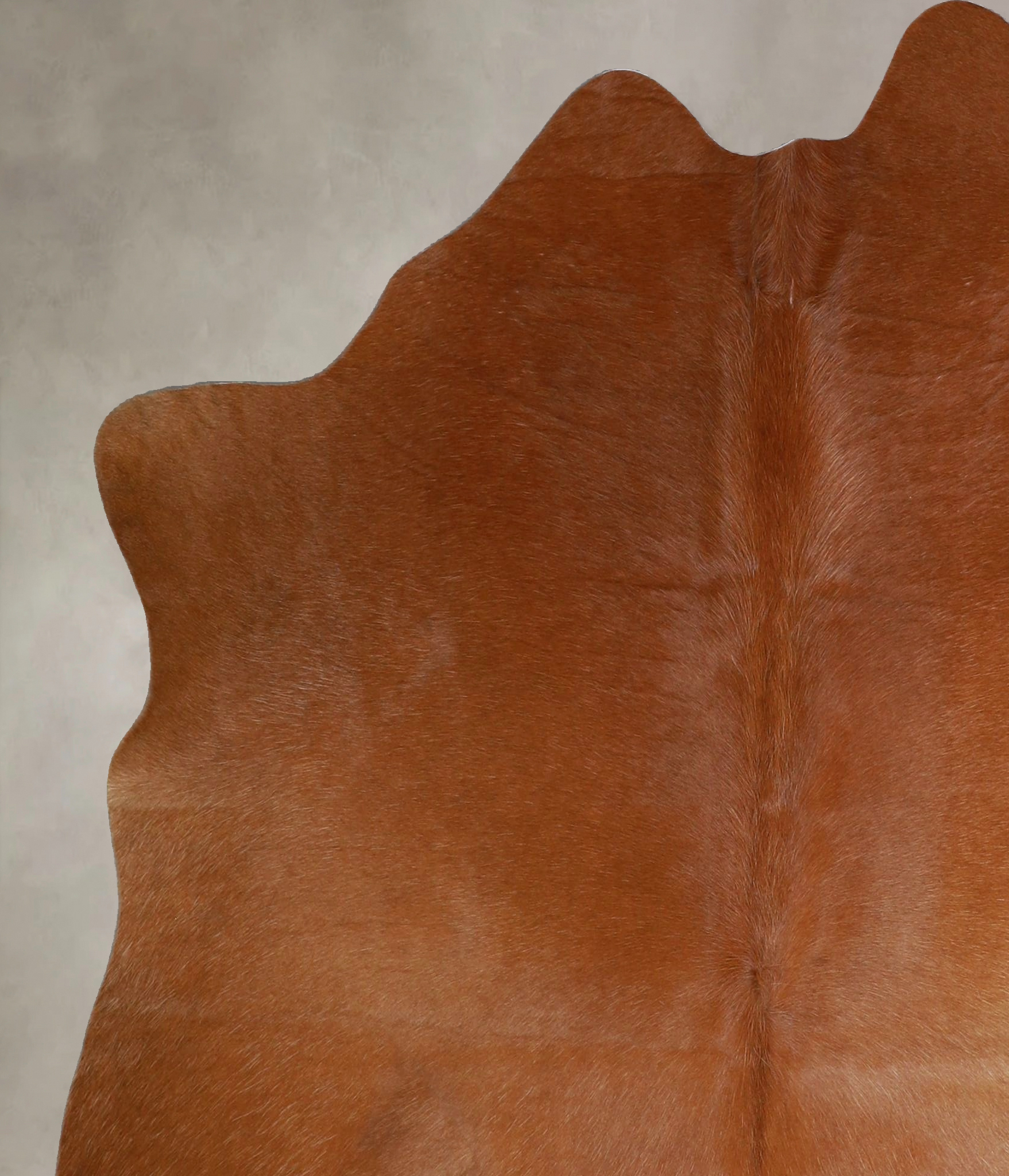 Solid Brown Cowhide Rug #A45860