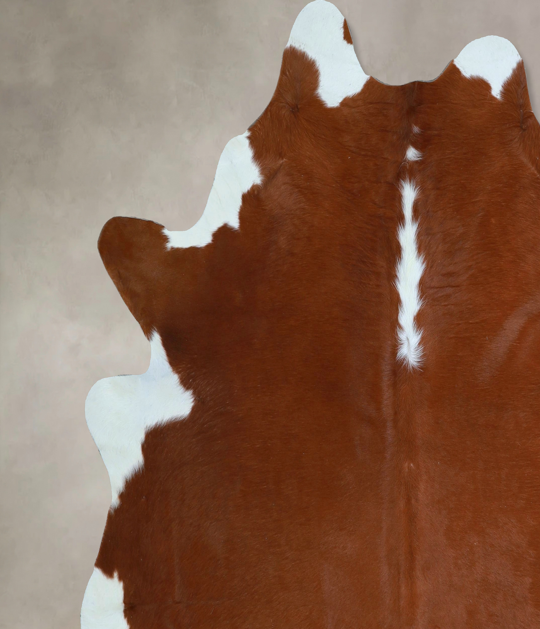 Brown and White Regular Cowhide Rug #A45871