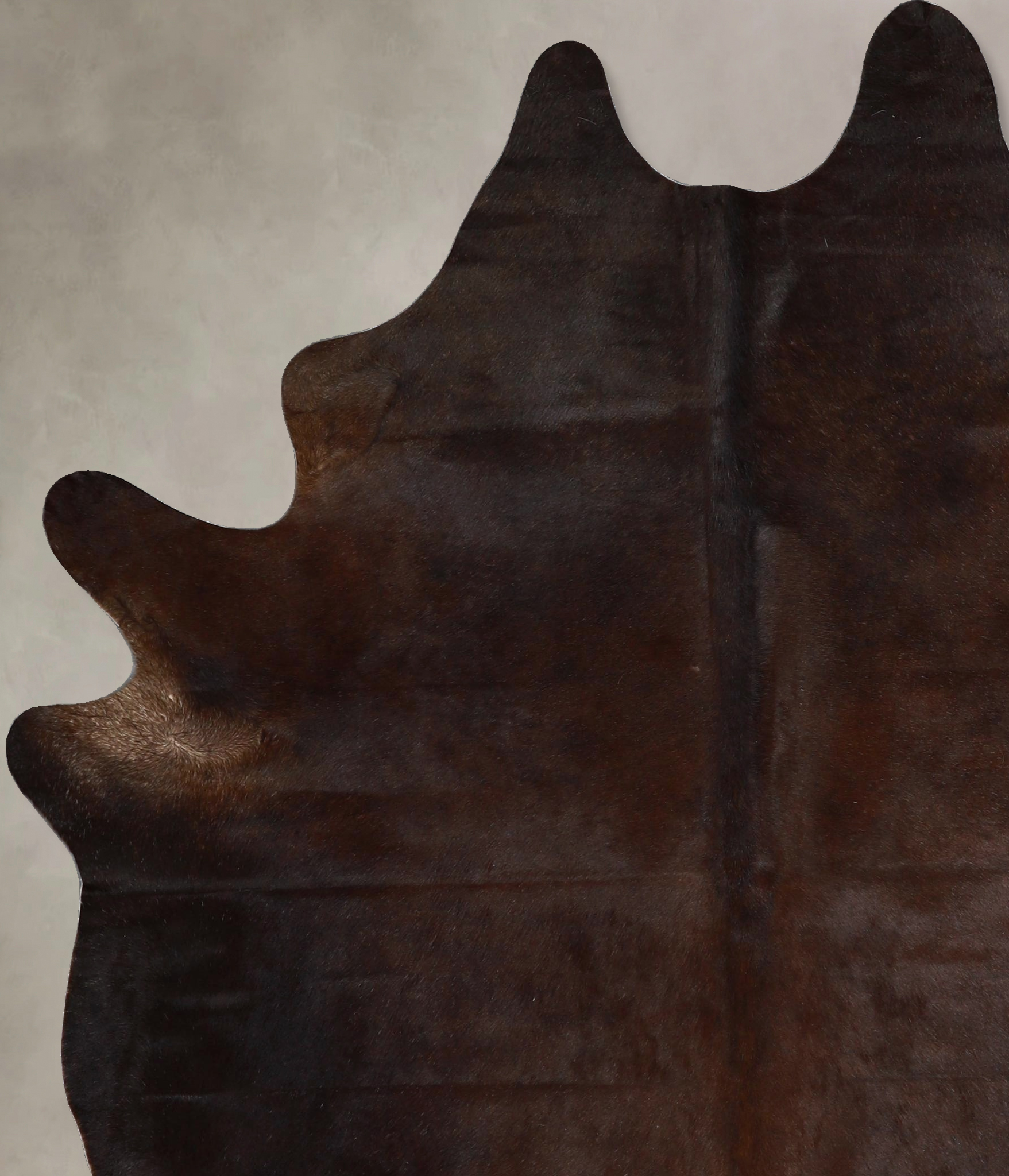 Chocolate Cowhide Rug #A45878