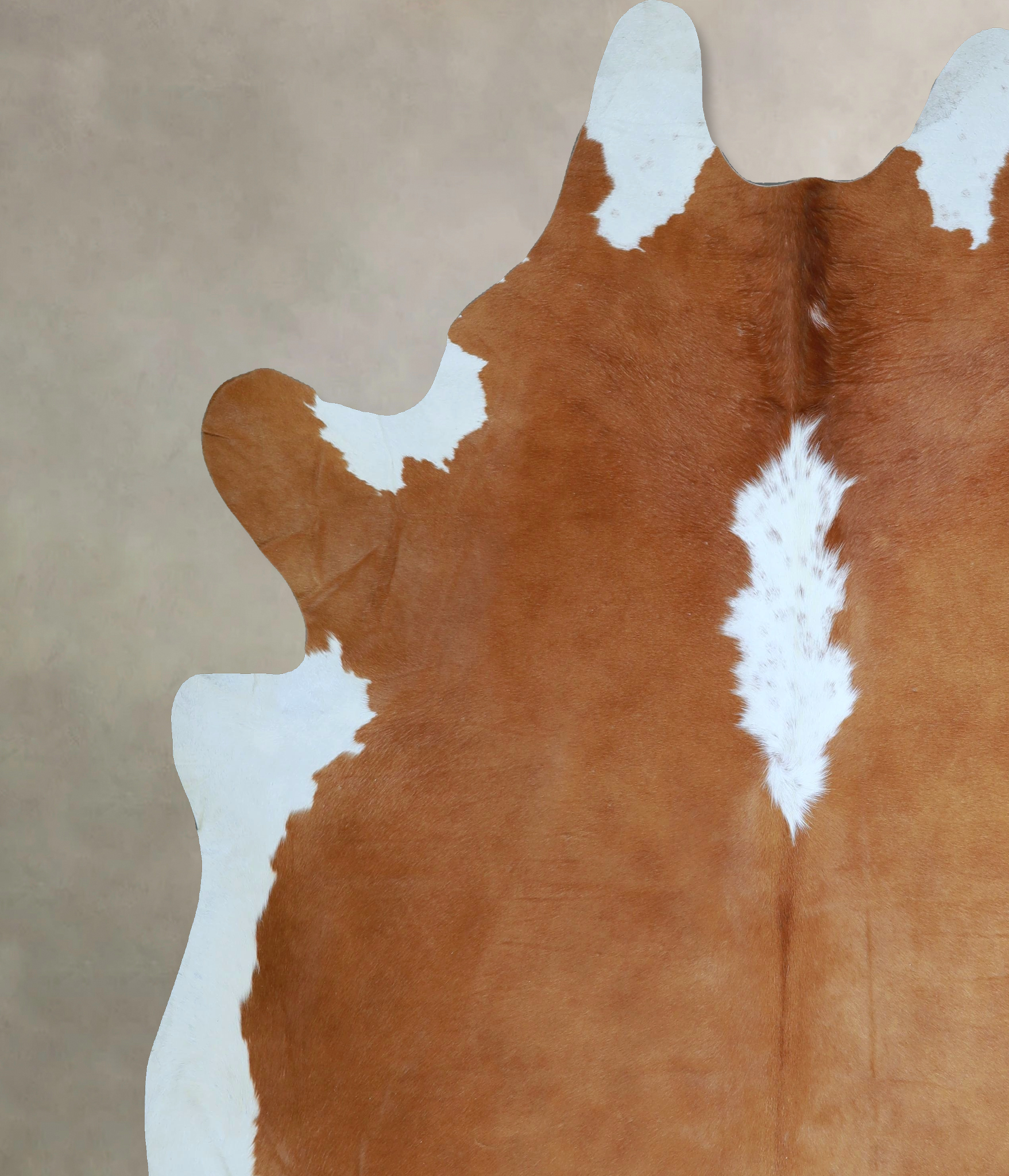 Hereford Cowhide Rug #A45891