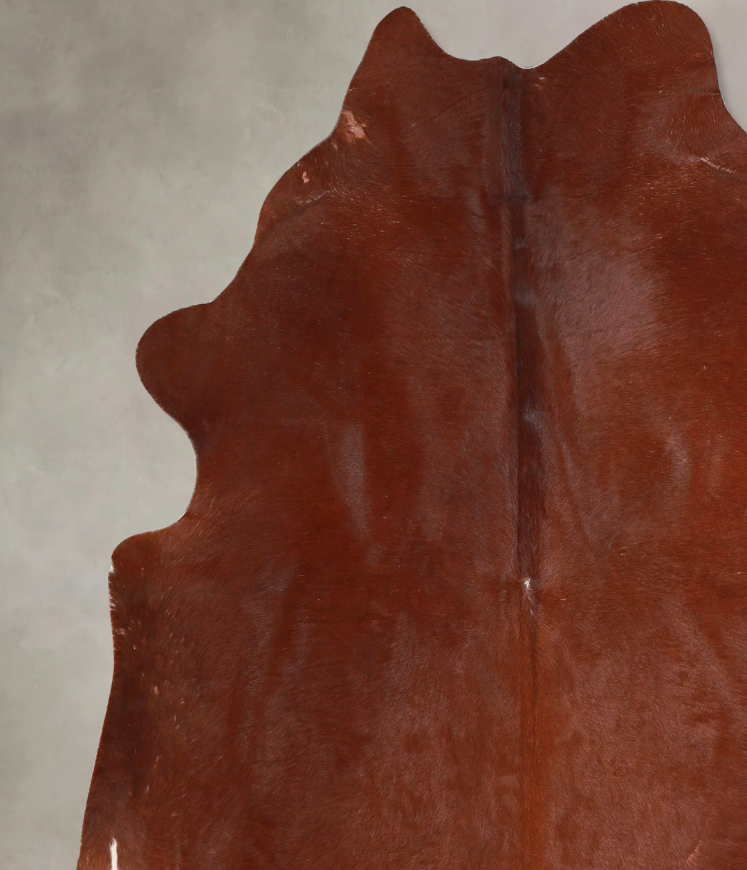 Solid Brown X-Large Brazilian Cowhide Rug 6'9"H x 6'7"W #A45948 by Hud