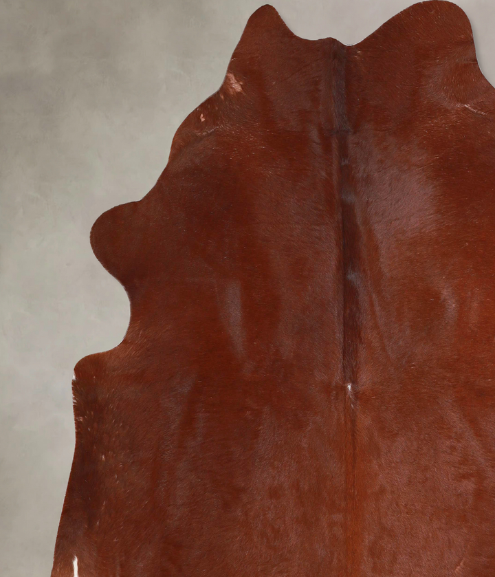 Solid Brown X-Large Brazilian Cowhide Rug 6'9"H x 6'7"W #A45948 by Hudson Hides