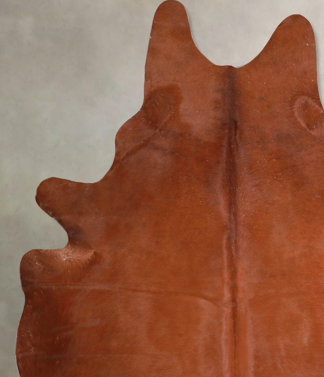 Solid Brown X-Large Brazilian Cowhide Rug 7'0"H x 5'9"W #A45950 by Hud