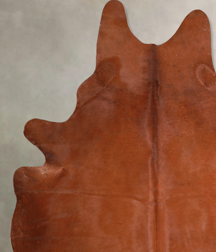 Solid Brown X-Large Brazilian Cowhide Rug 7'0"H x 5'9"W #A45950 by Hudson Hides