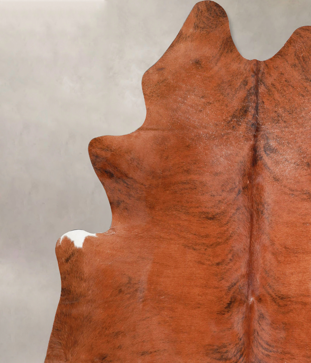 Medium Brindle XX-Large Brazilian Cowhide Rug 7'7"H x 6'10"W #A45971 b