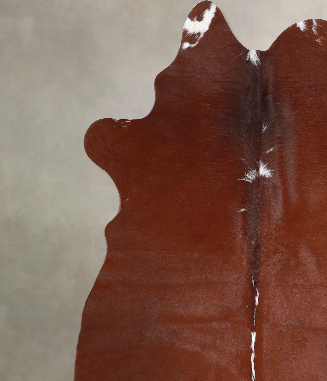 Brown and White Regular Large Brazilian Cowhide Rug 6'3"H x 5'4"W #A45