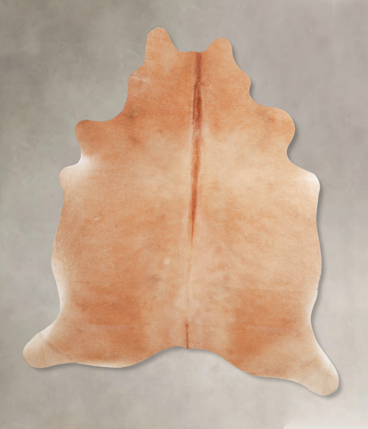 Beige Large Brazilian Cowhide Rug 6'9"H x 5'6"W #A46011 by Hudson Hides
