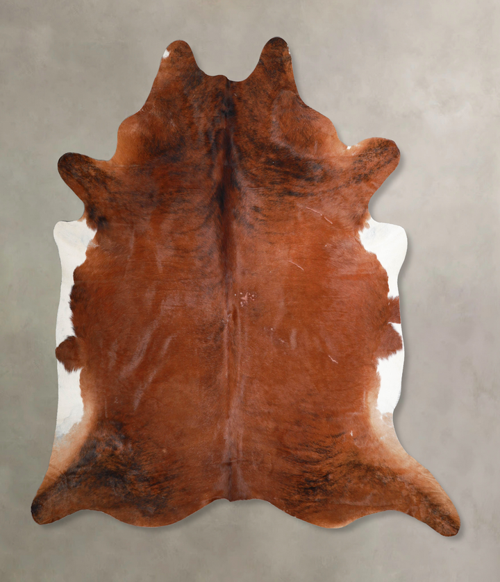 Medium Brindle XX-Large Brazilian Cowhide Rug 8'2"H x 7'7"W #A46020 by Hudson Hides